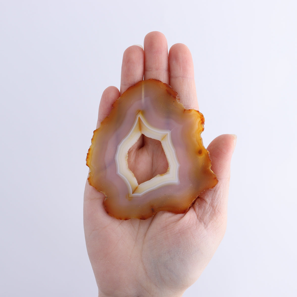 Iris Agate Slices Set of 5 | Mi Esperanza Minerals | Supplier of Crystals and Onyx
