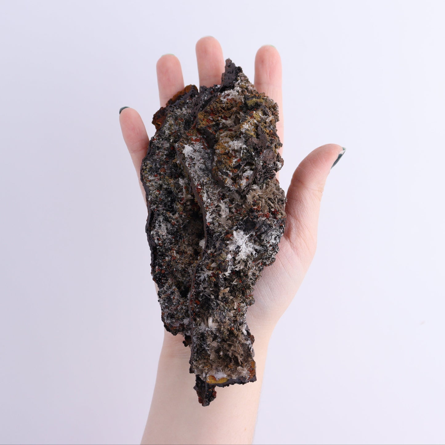 Geothite Flat | Mi Esperanza Minerals | Supplier of Crystals and Onyx