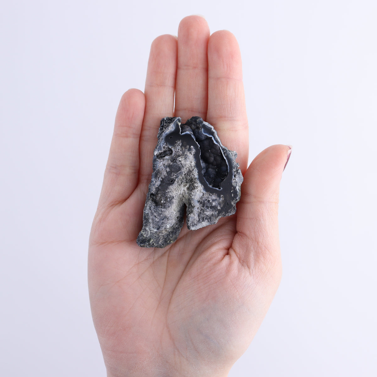 Agatized Coral Flat | Mi Esperanza Minerals | Supplier of Crystals and Onyx
