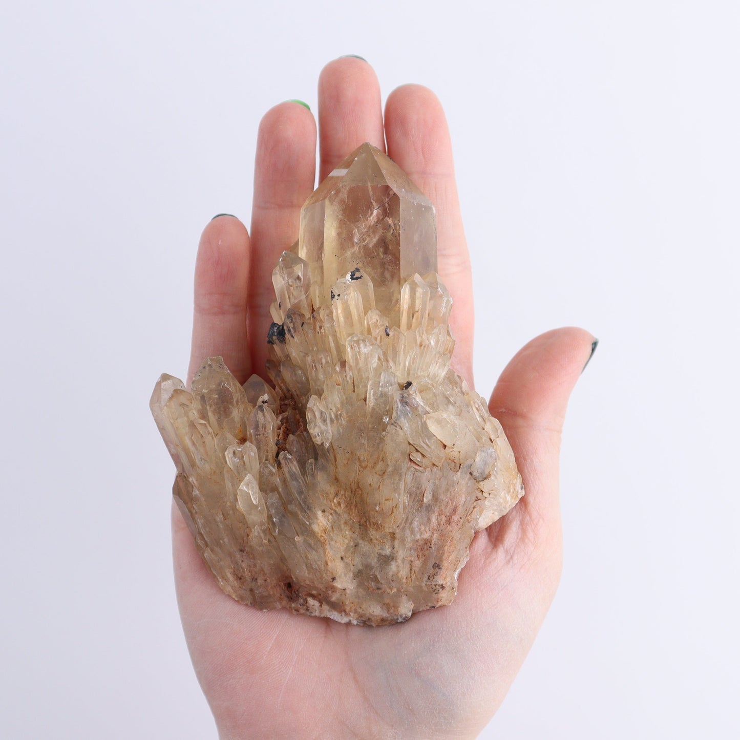 Congo Citrine Set of 12