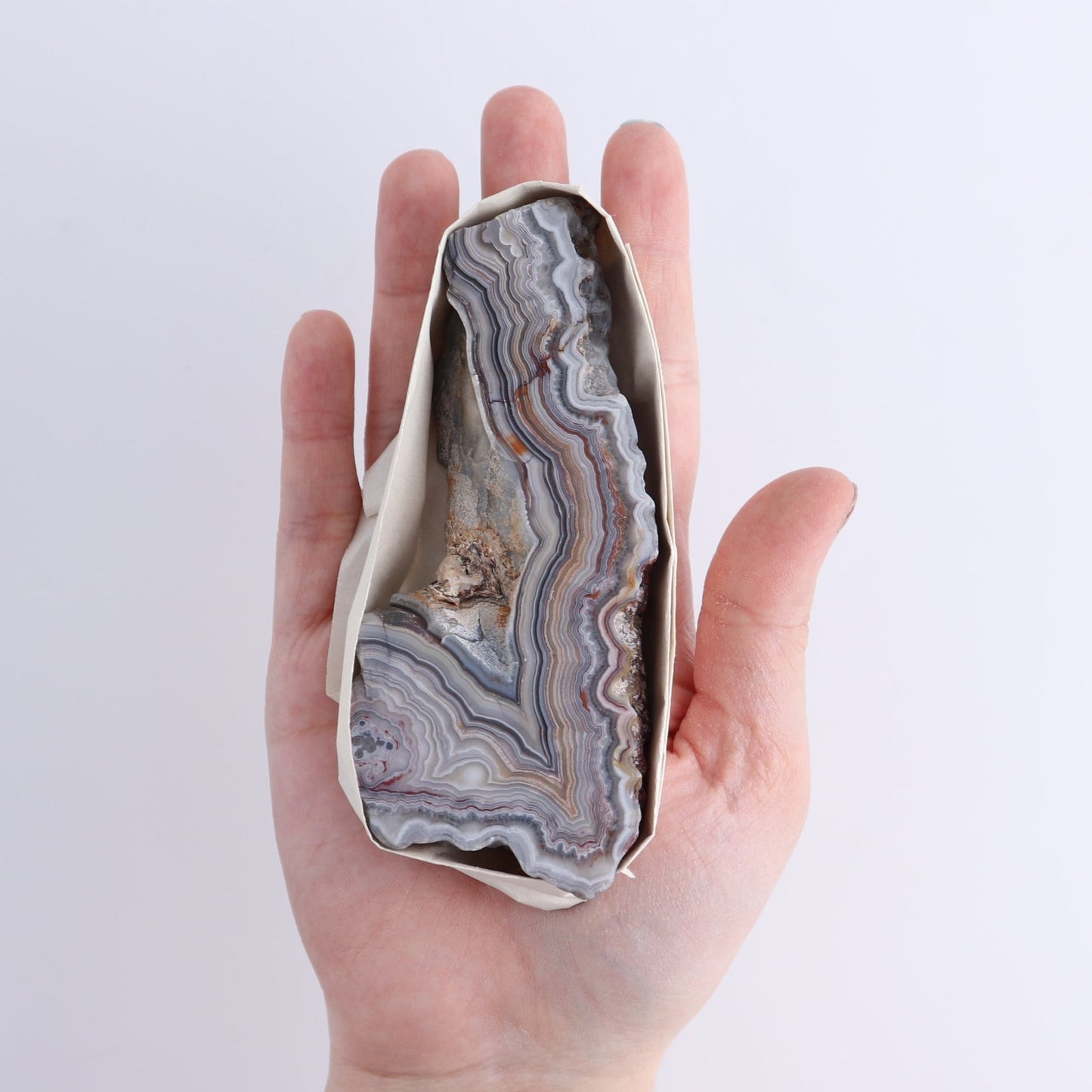 Crazy Lace Agate Flat of 12