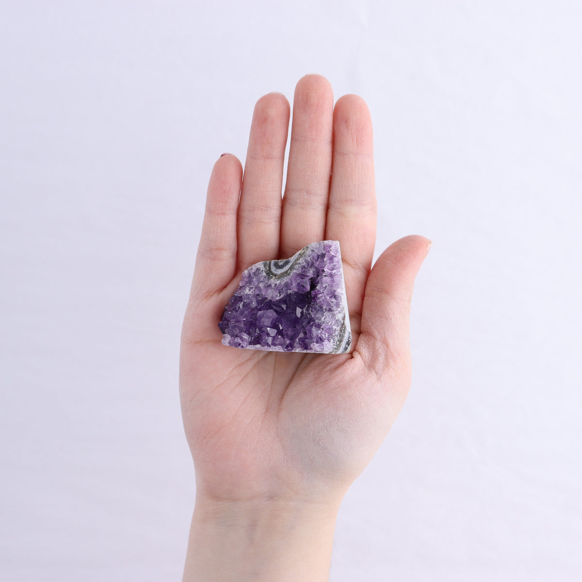 Uruguay Amethyst Cut Base Set of 12 | Mi Esperanza Minerals | Supplier of Crystals and Onyx