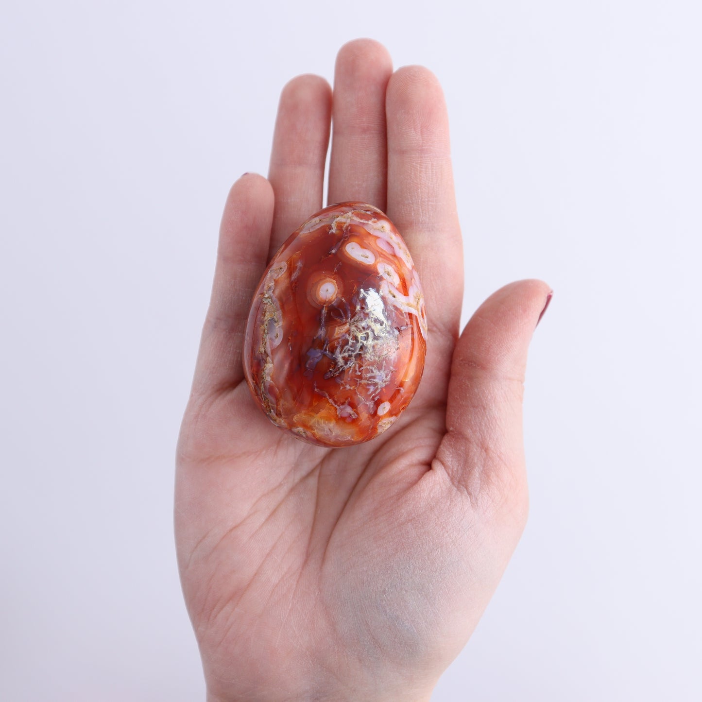 Carnelian Eggs Set of 12 | Mi Esperanza Minerals | Supplier of Crystals and Onyx