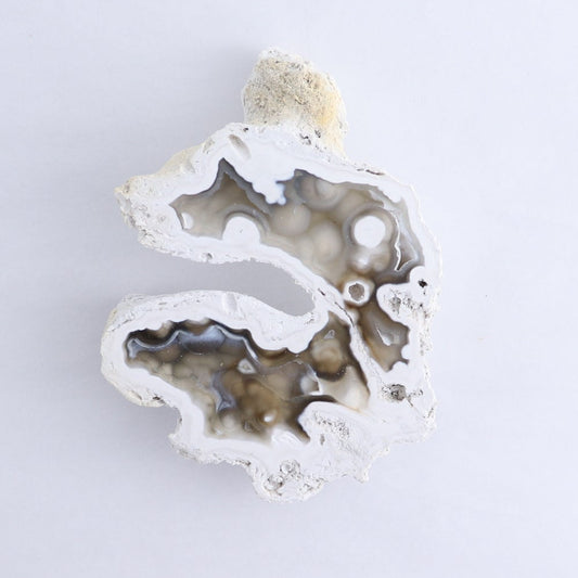 Agatized Coral Set of 3