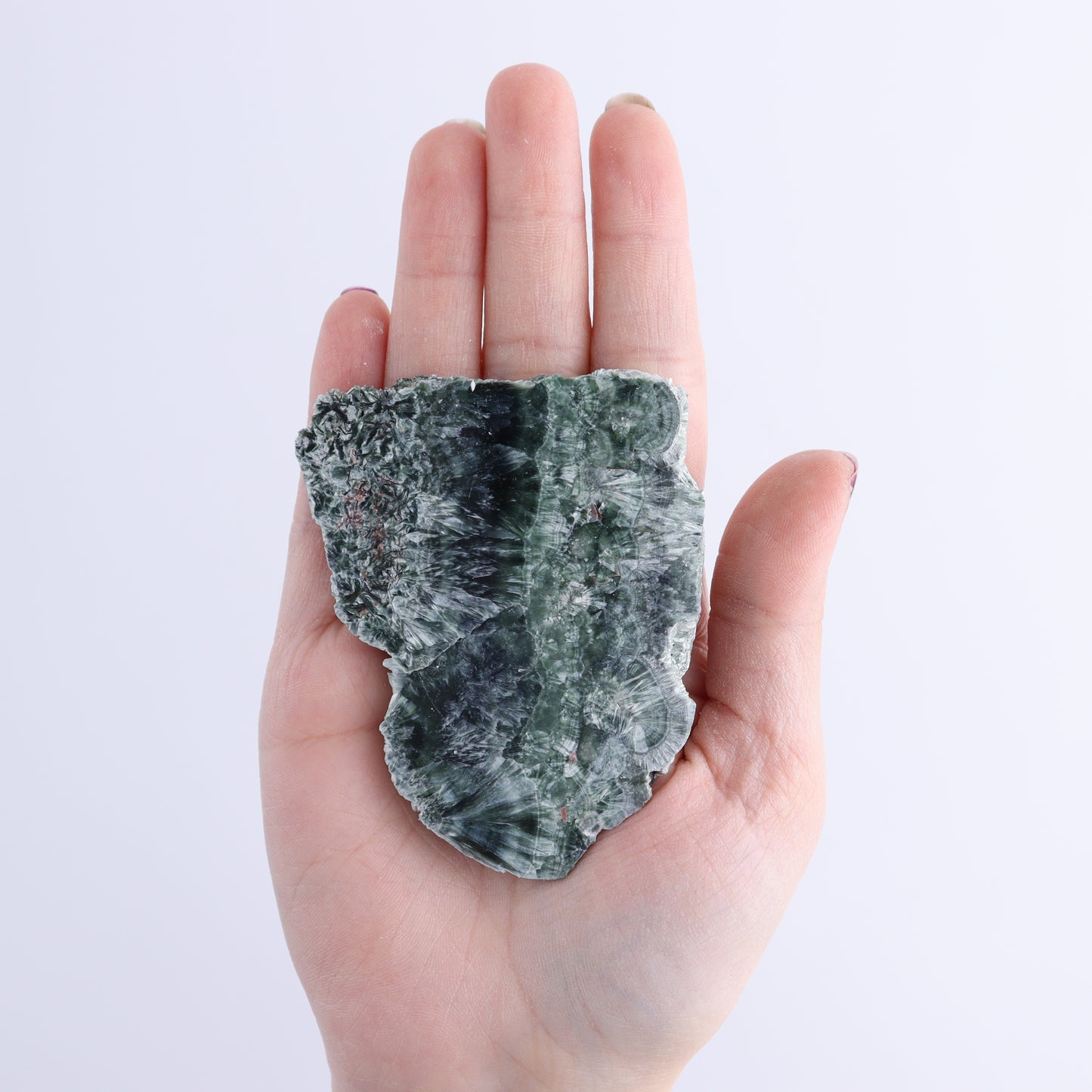 Seraphinite Slices Set of 12 | Mi Esperanza Minerals | Supplier of Crystals and Onyx