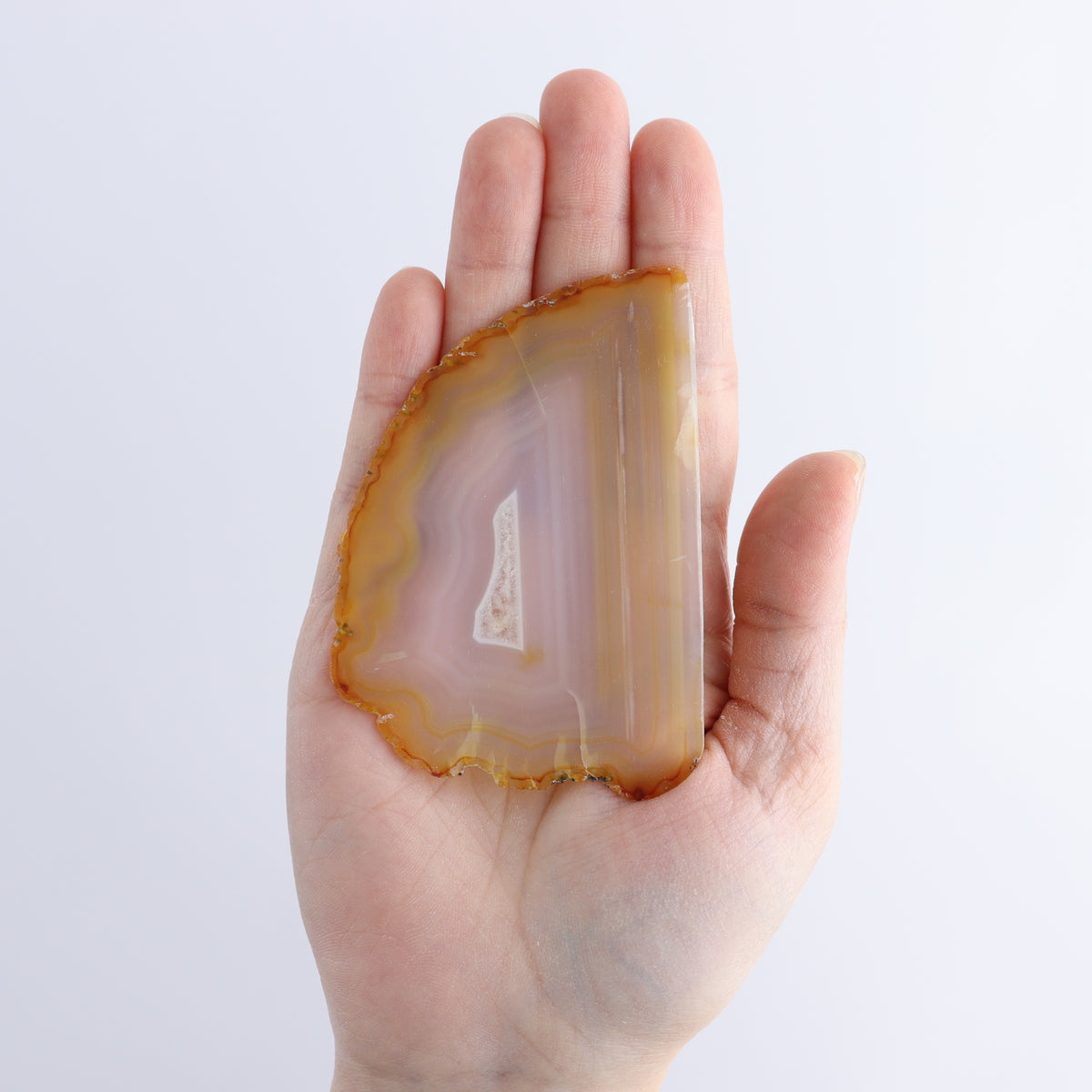 Iris Agate Slices Set of 5 | Mi Esperanza Minerals | Supplier of Crystals and Onyx