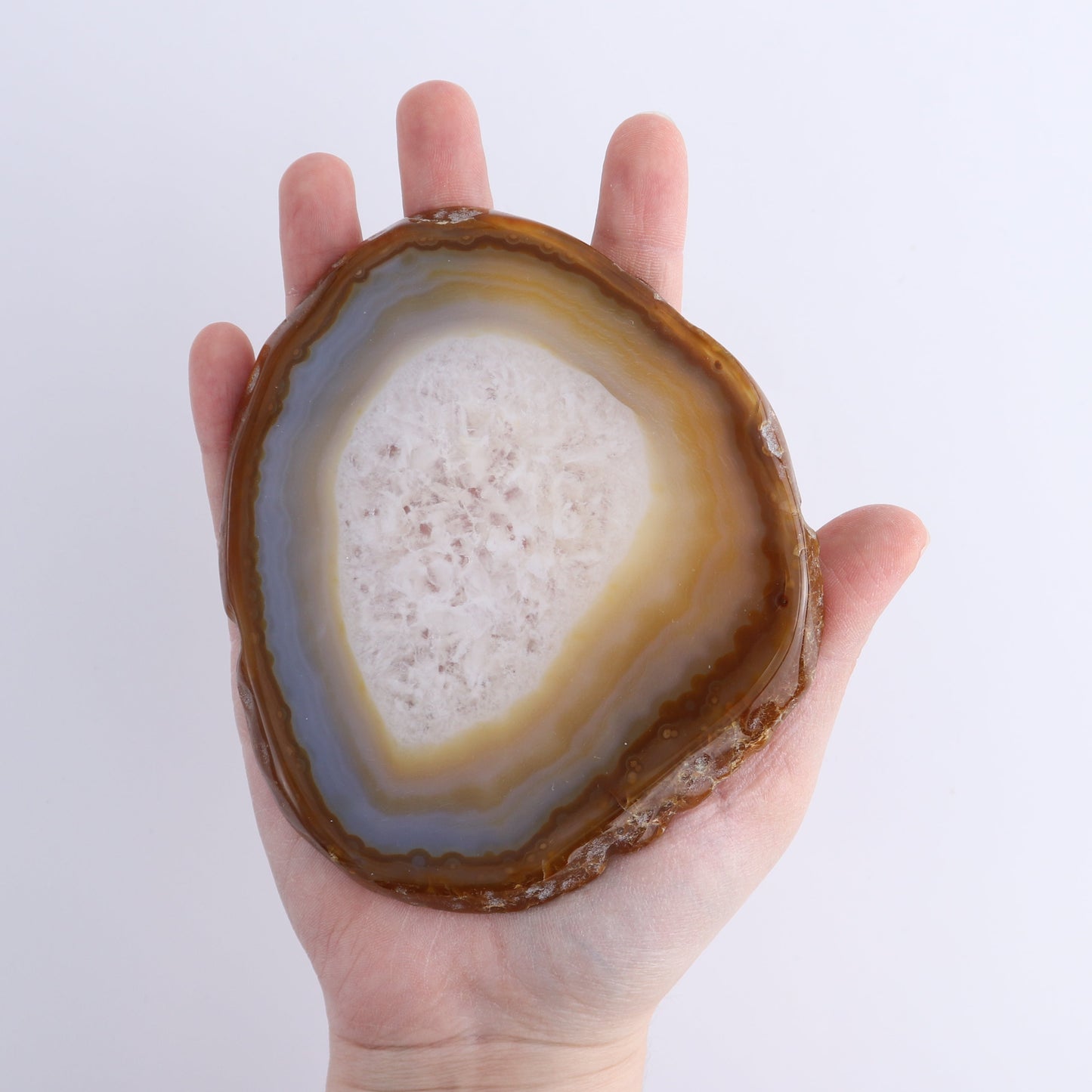 Agate Slices Set of 9 | Mi Esperanza Minerals | Supplier of Crystals and Onyx