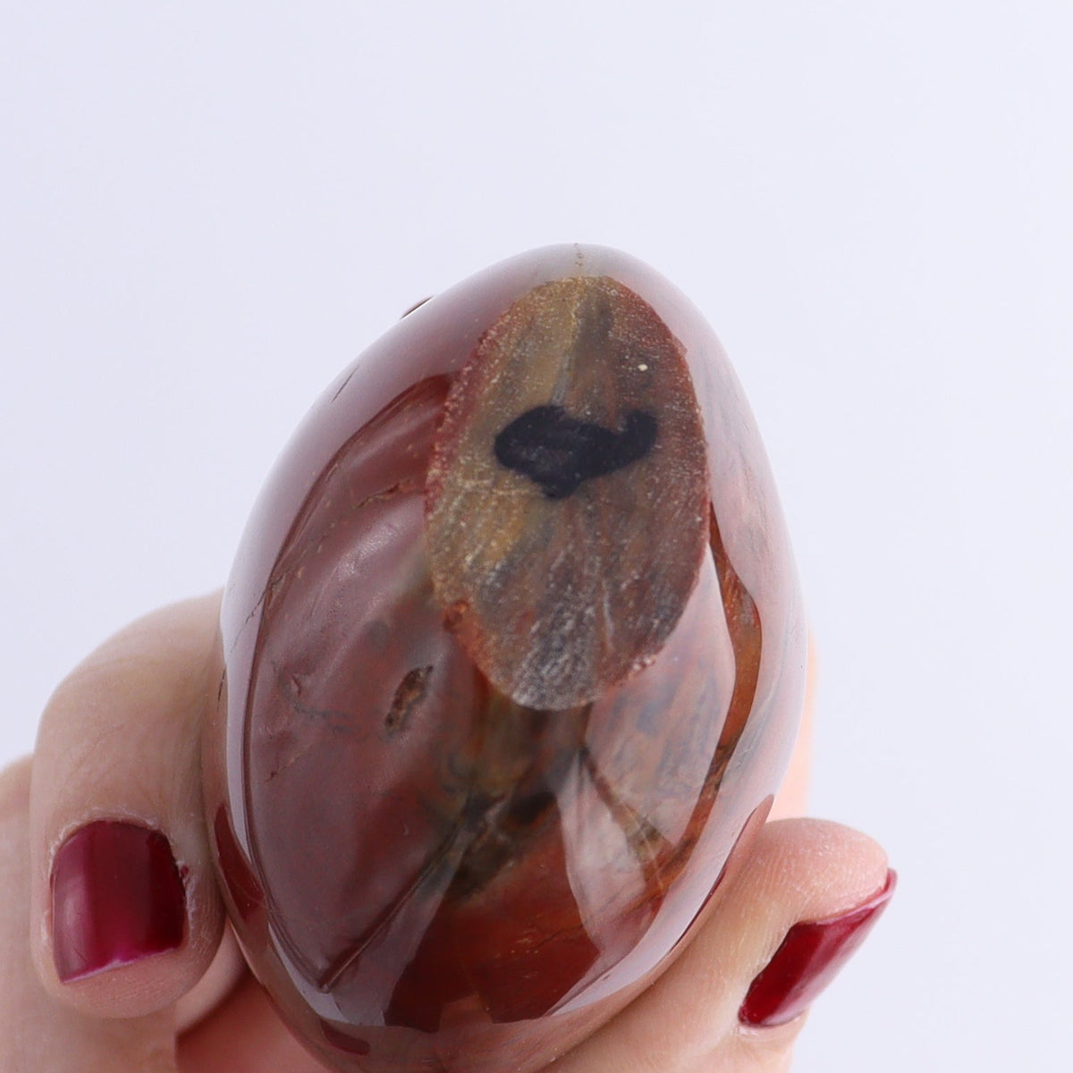Petrified Wood Freeforms Set of 6 | Mi Esperanza Minerals | Supplier of Crystals and Onyx