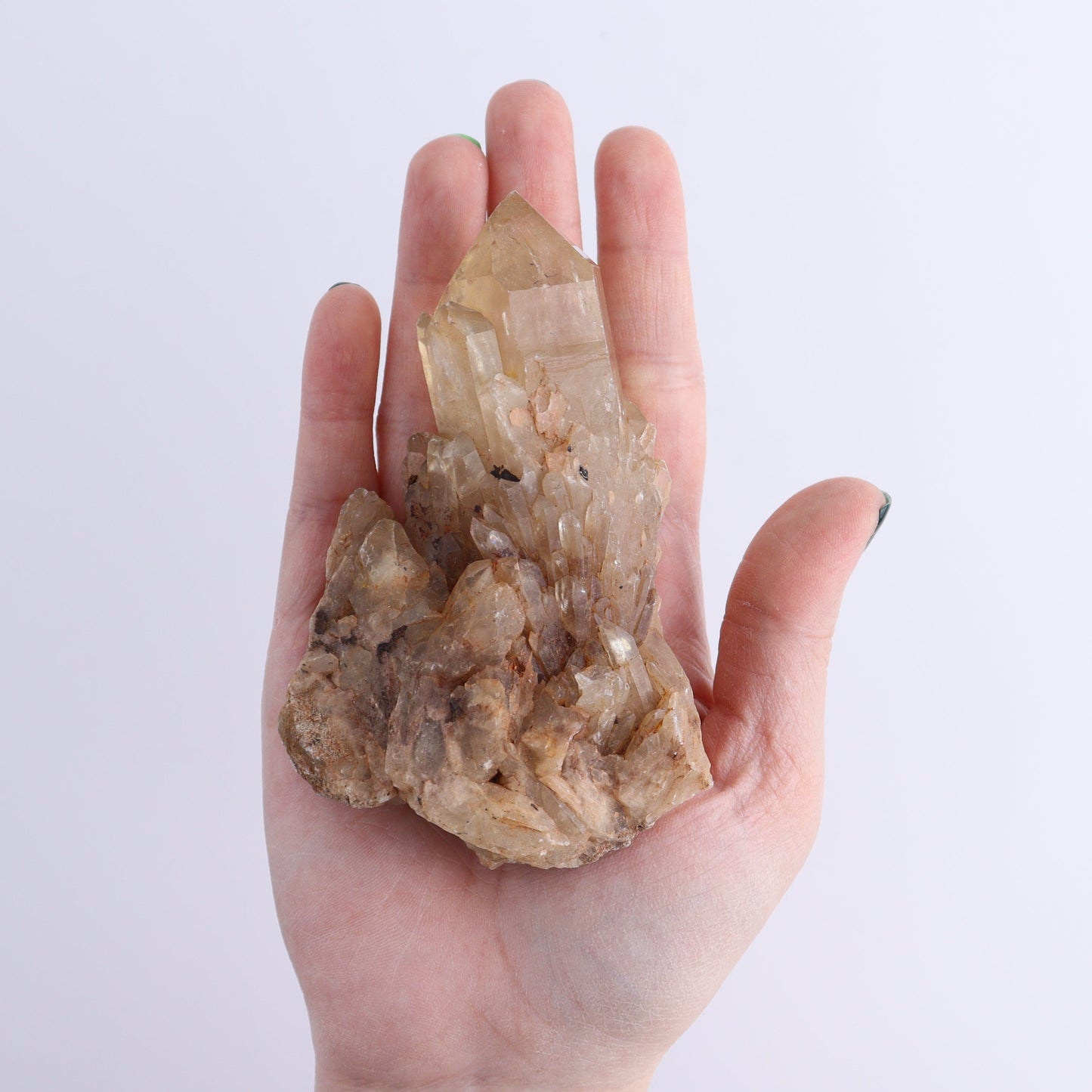 Congo Citrine Set of 12