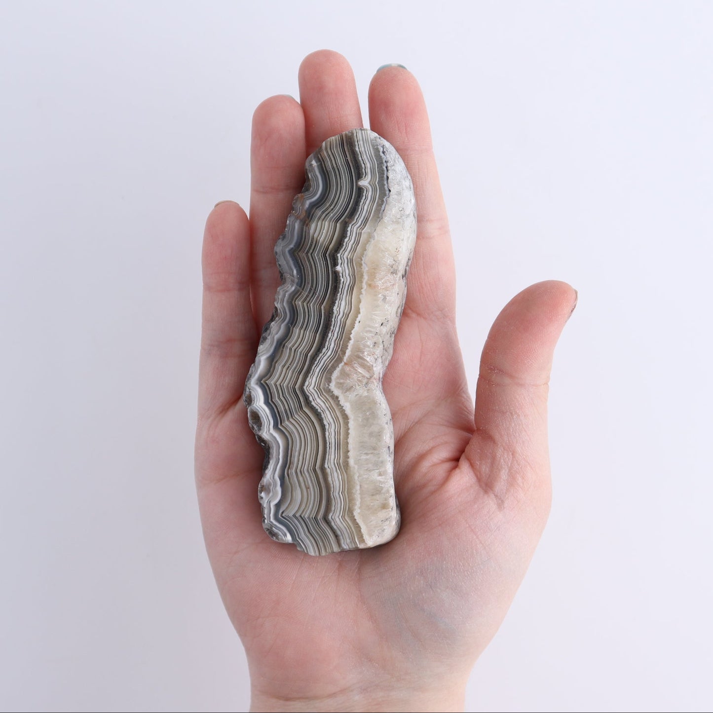 Crazy Lace Agate Flat of 17
