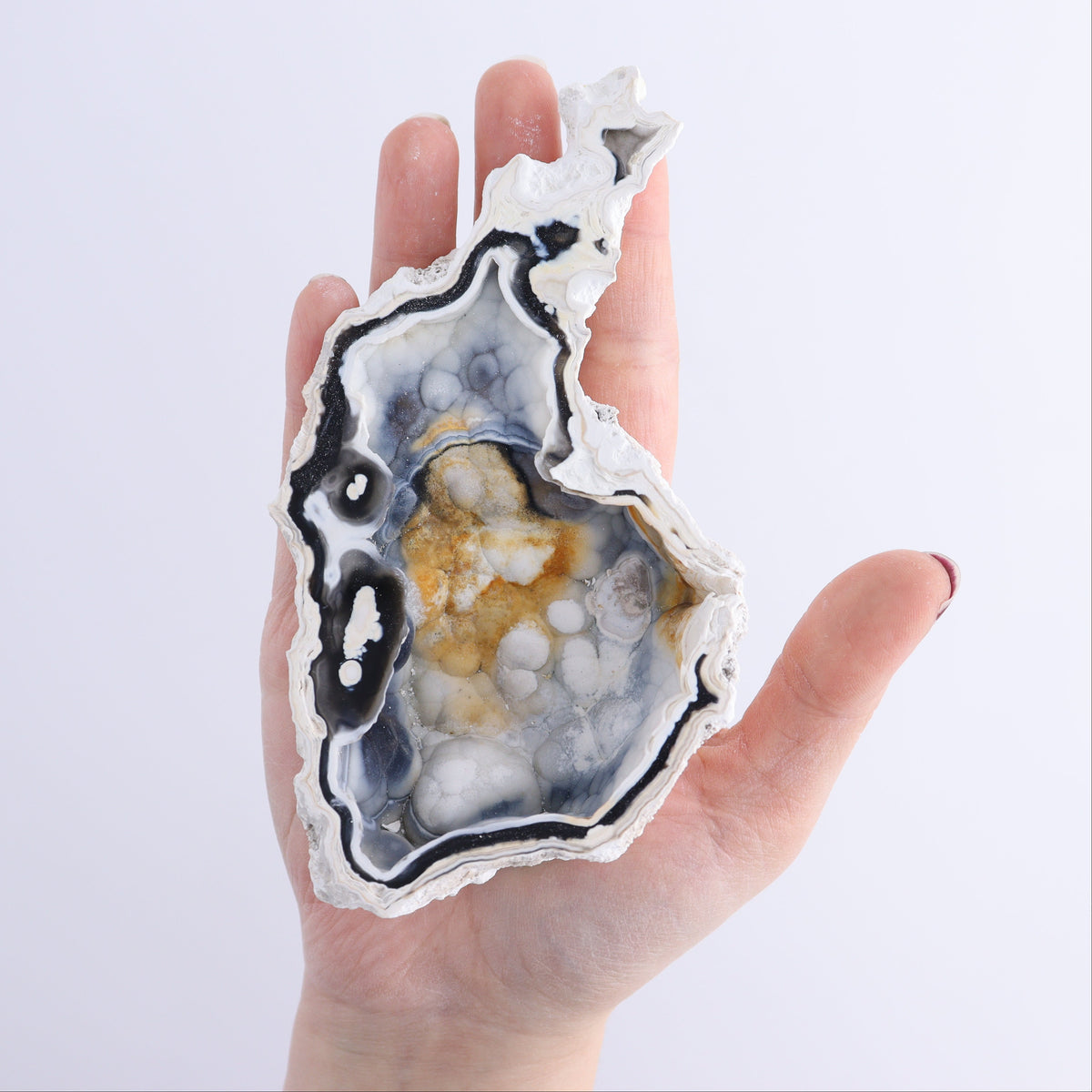 Agatized Coral Flat | Mi Esperanza Minerals | Supplier of Crystals and Onyx