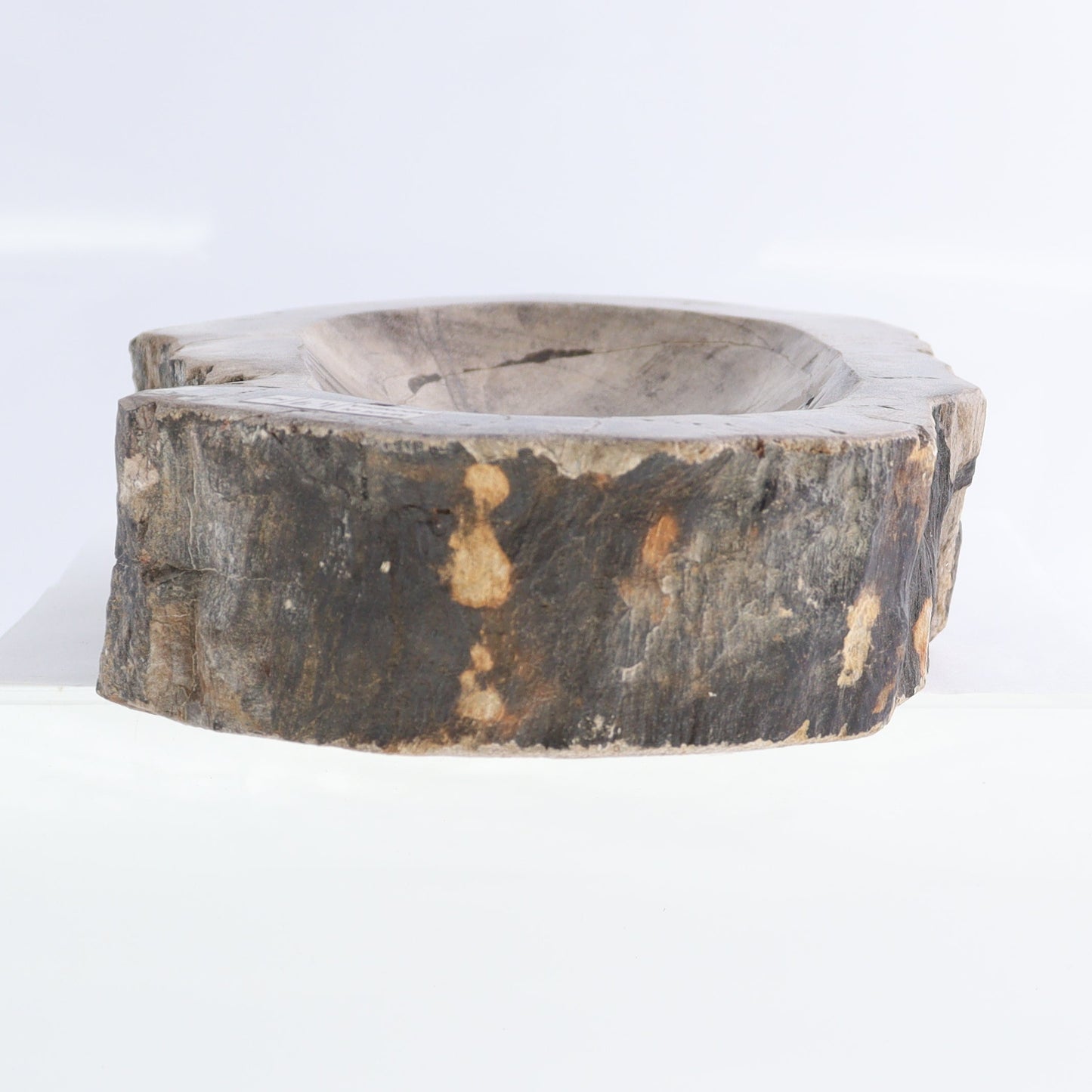 Petrified Wood Bowls Set of 2