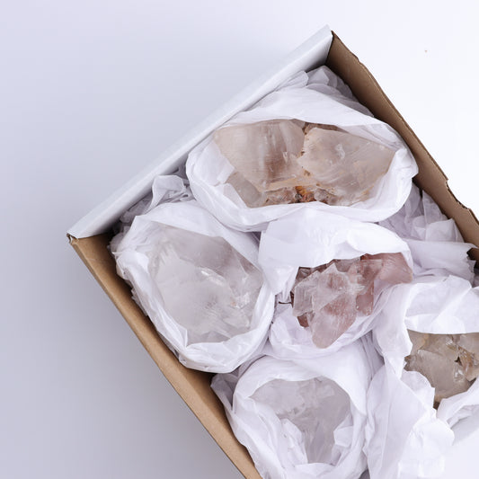 Naica Selenite Flat Set of 5 Specimens | Mi Esperanza Minerals | Supplier of Crystals and Onyx