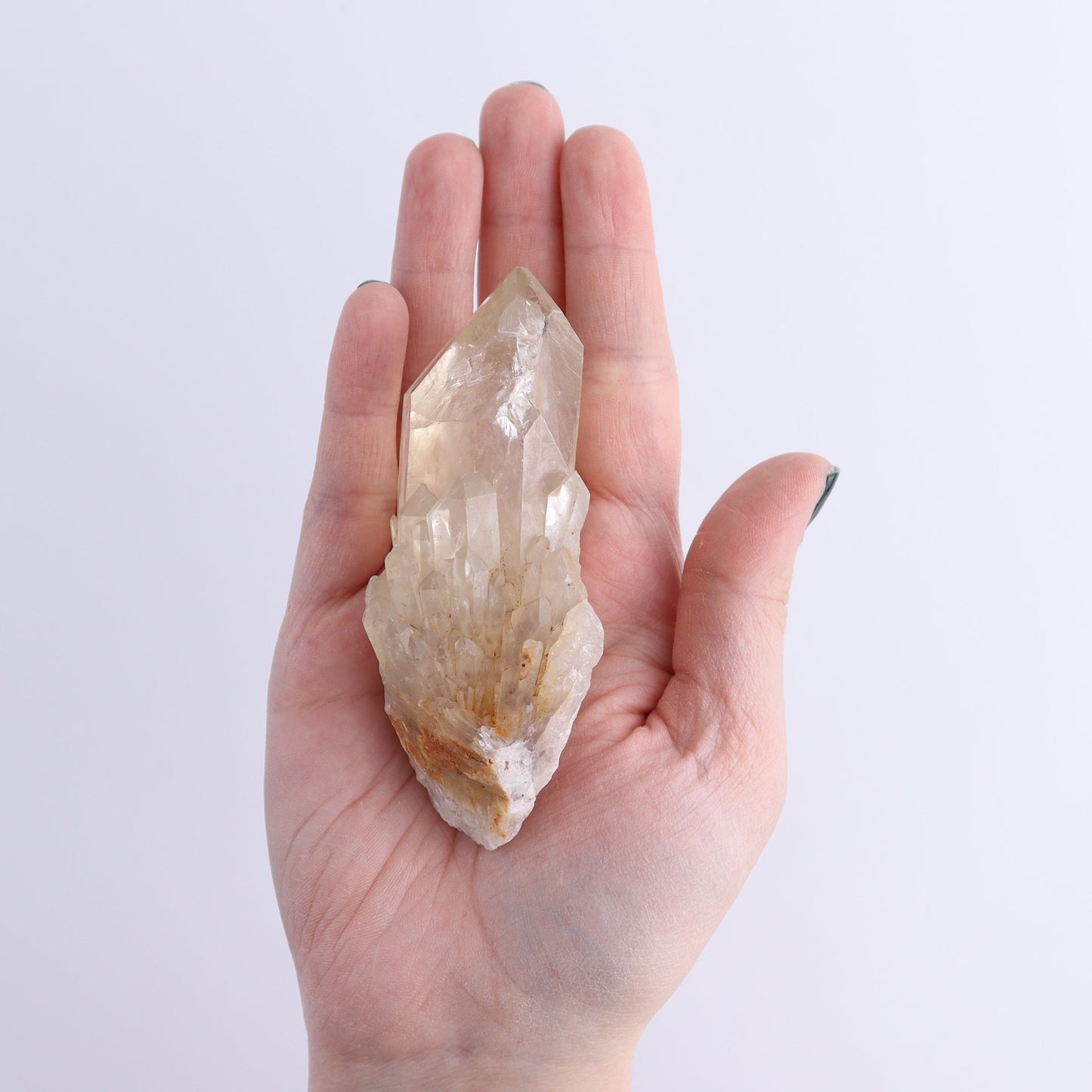 Congo Citrine Set of 12