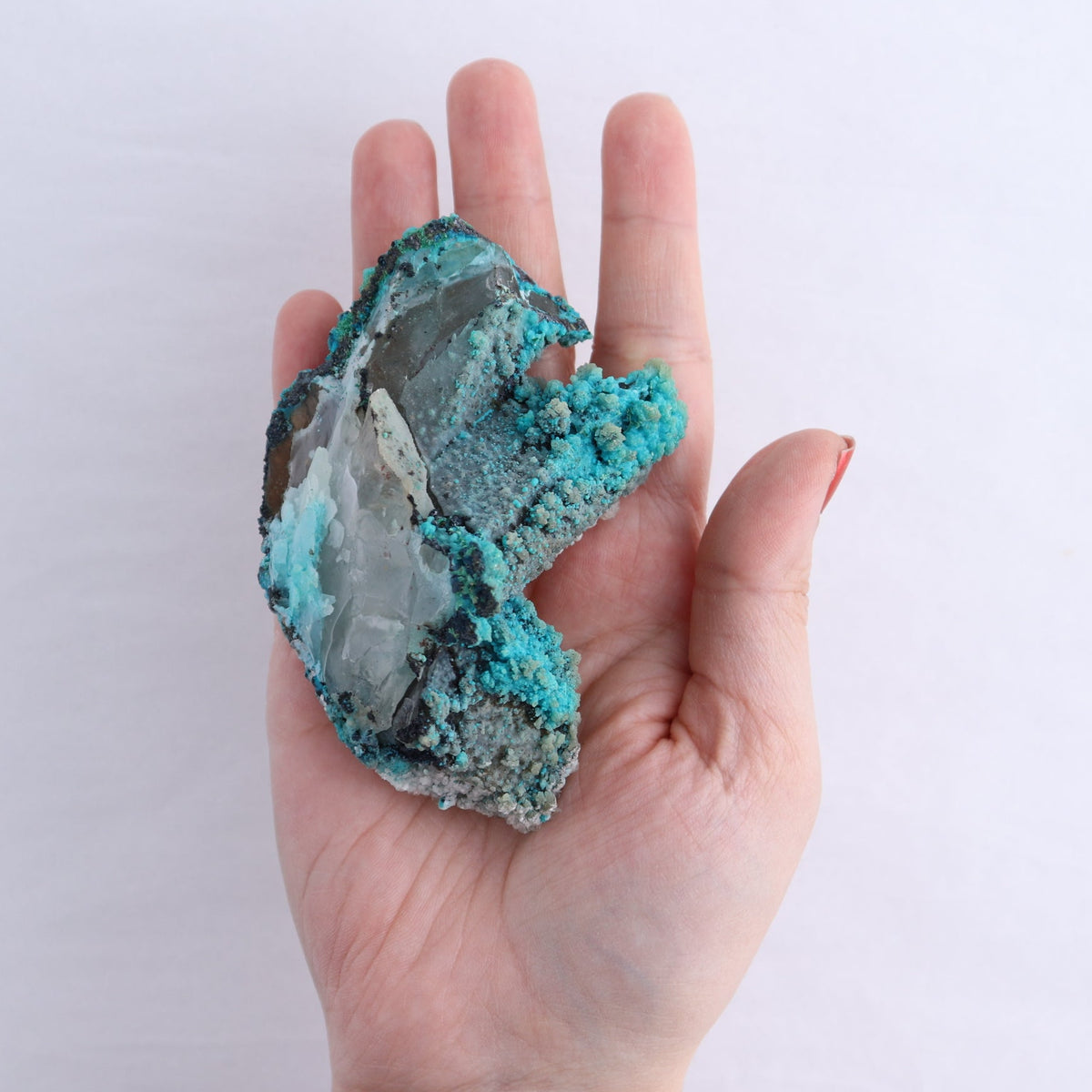 Chrysocolla on Quartz Roughs Set of 6