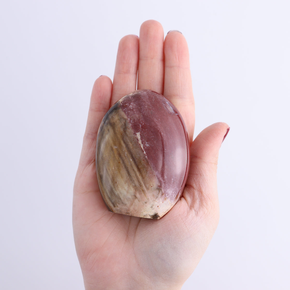 Petrified Wood Freeforms Set of 6 | Mi Esperanza Minerals | Supplier of Crystals and Onyx