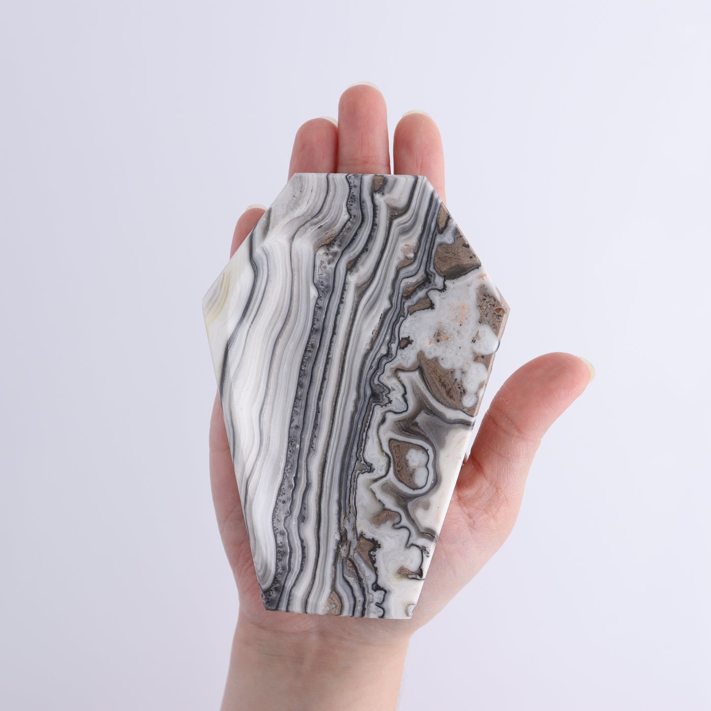 One Zebra Onyx Coffin Dish | Mi Esperanza Minerals | Supplier of Crystals and Onyx