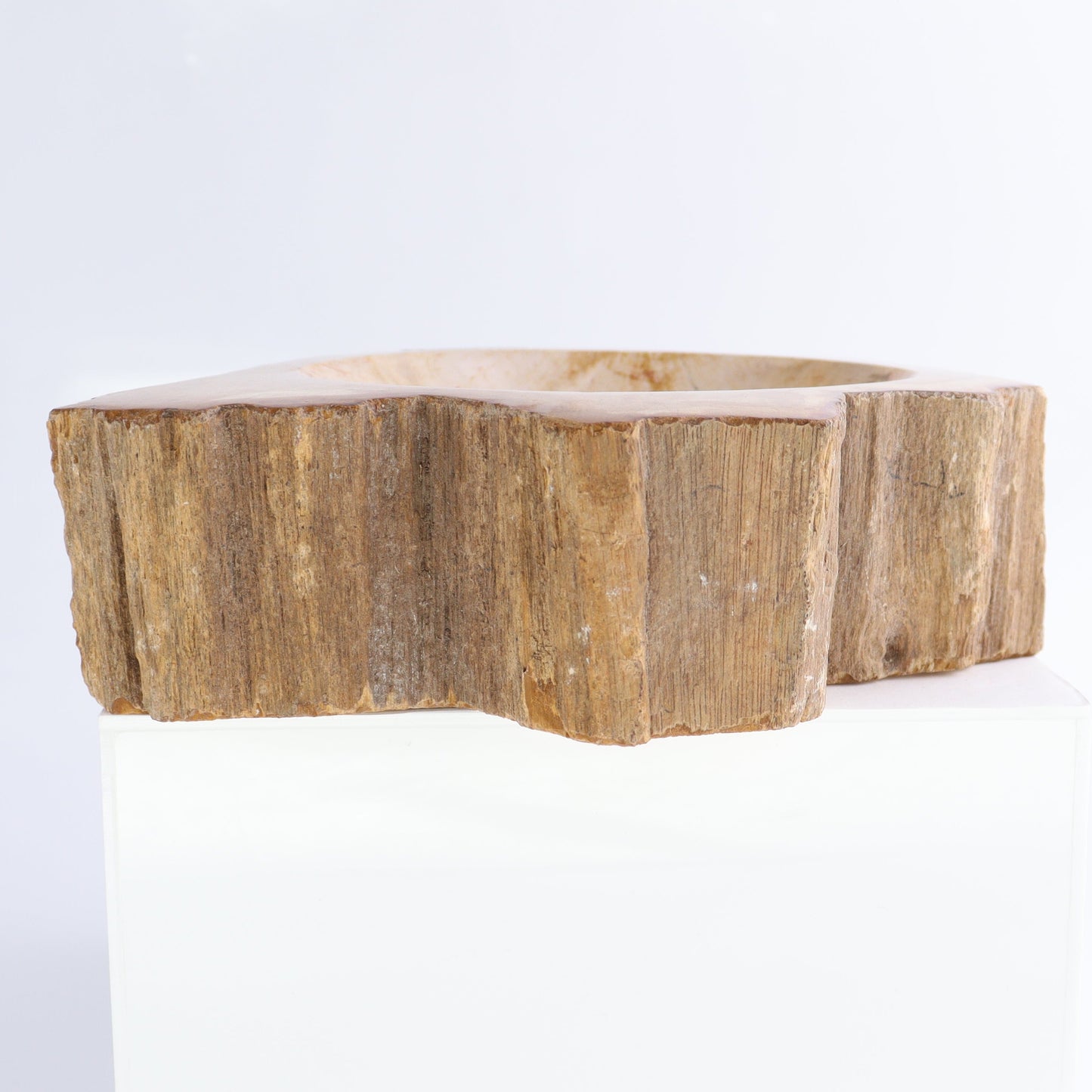 Petrified Wood Bowls Set of 2 | Mi Esperanza Minerals | Supplier of Crystals and Onyx