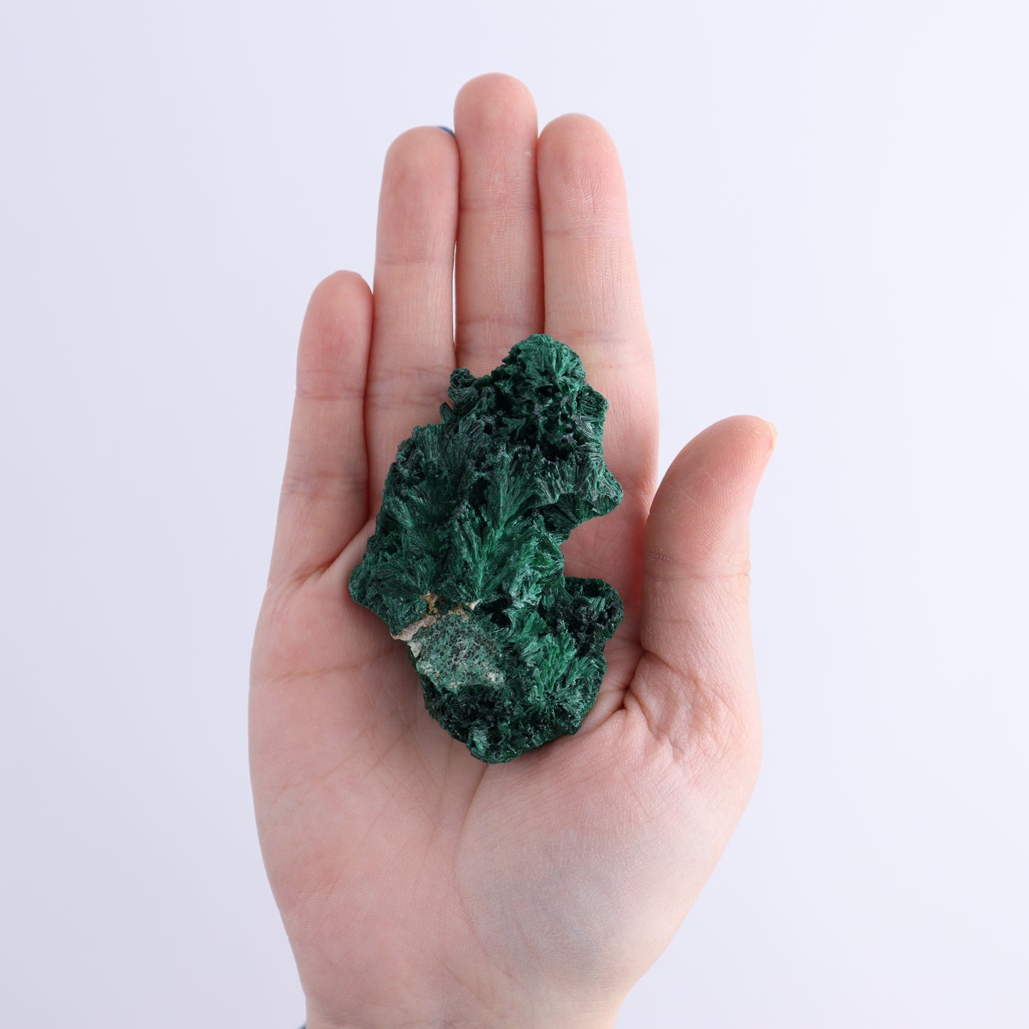 Malachite Freeforms Set of 9