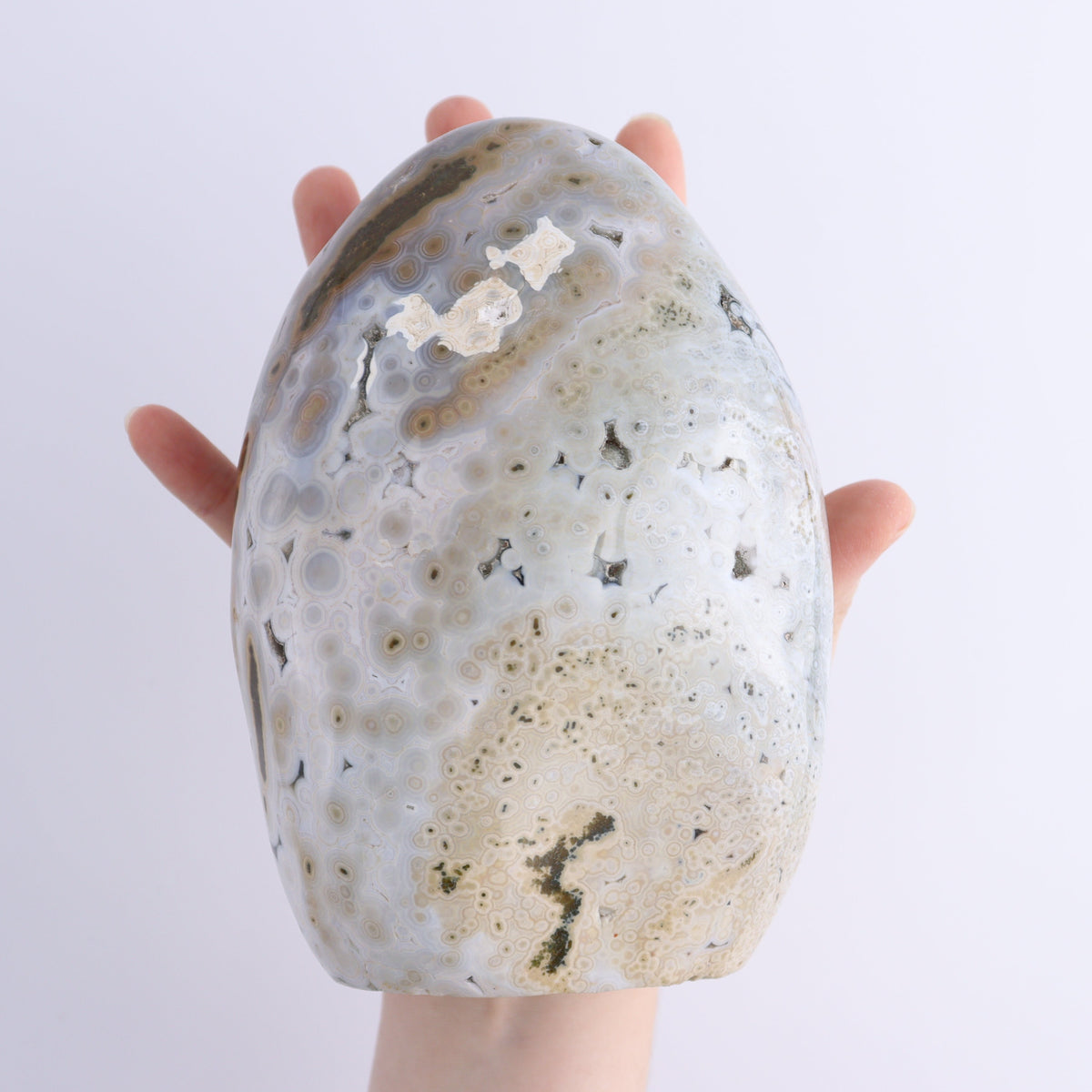 Ocean Jasper Freeform Set of 2 | Mi Esperanza Minerals | Supplier of Crystals and Onyx