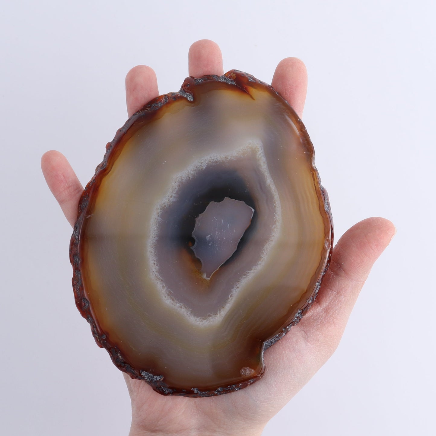 Agate Slices Set of 12 | Mi Esperanza Minerals | Supplier of Crystals and Onyx