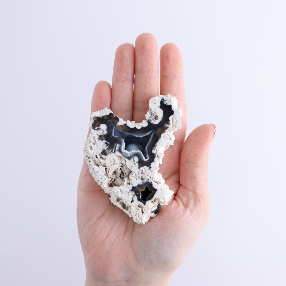 Agatized Coral Flat | Mi Esperanza Minerals | Supplier of Crystals and Onyx