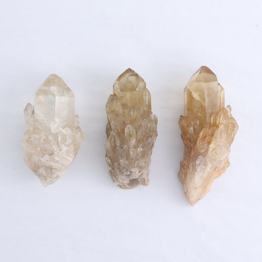 Congo Citrine Set of 12