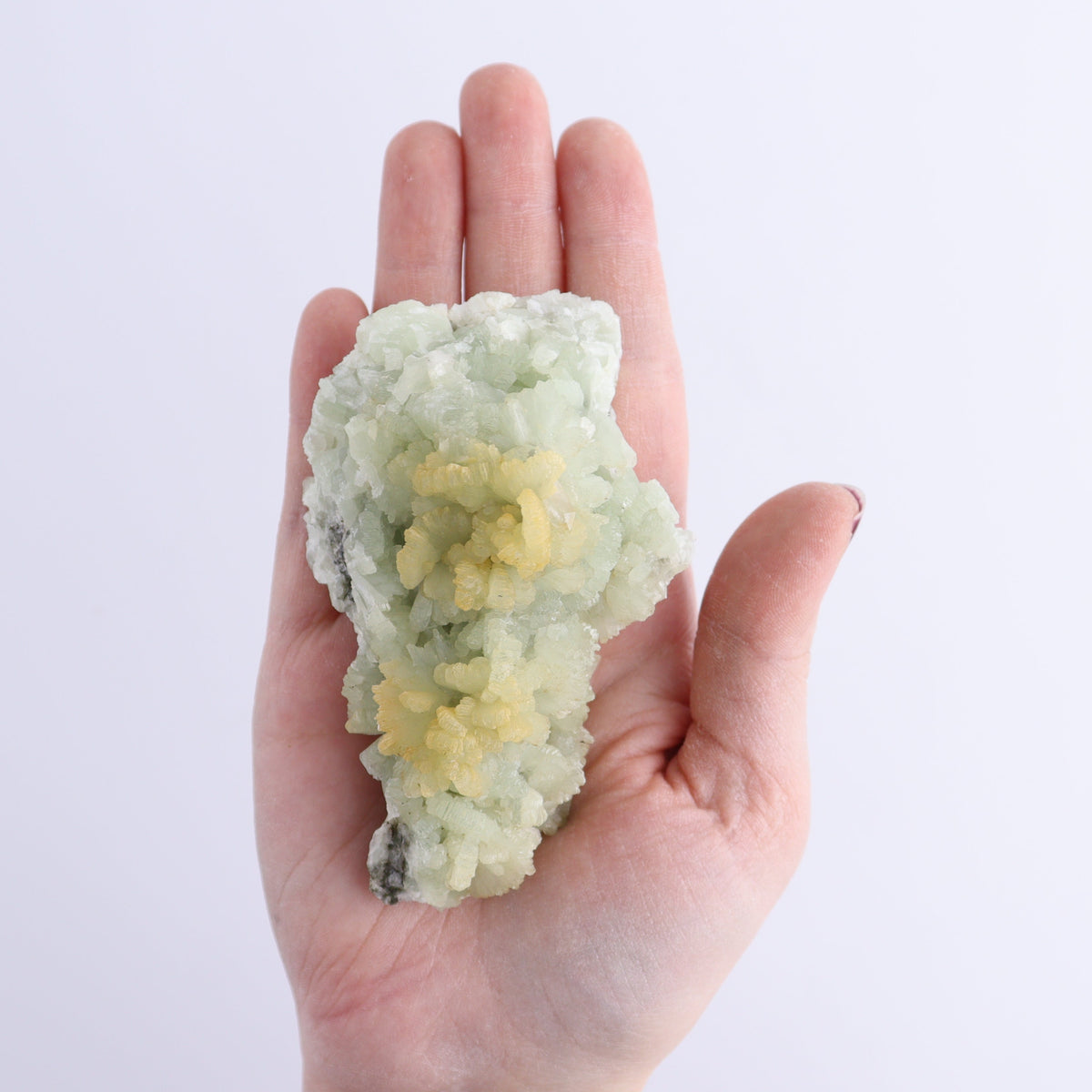 Prehnite Flat from Morocco | Mi Esperanza Minerals | Supplier of Crystals and Onyx