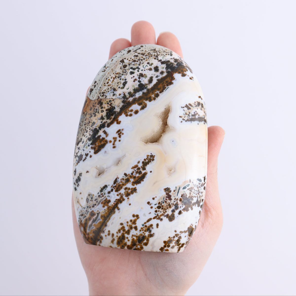Ocean Jasper Freeform Set of 5 | Mi Esperanza Minerals | Supplier of Crystals and Onyx