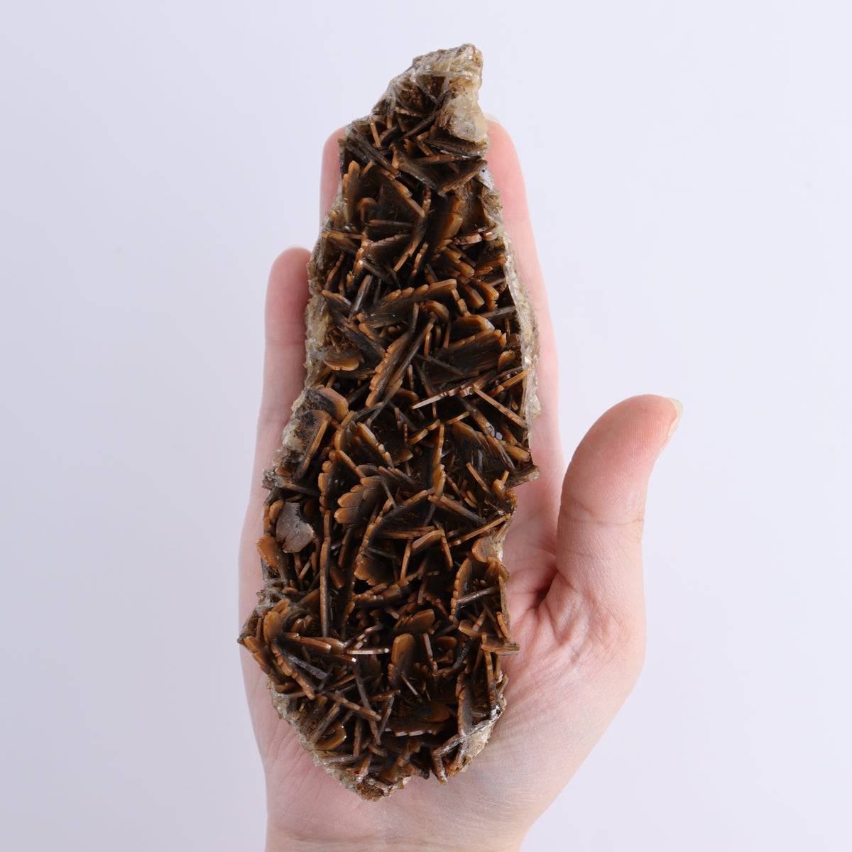 Brown Barite Flat from Morocco - wholesale crystals