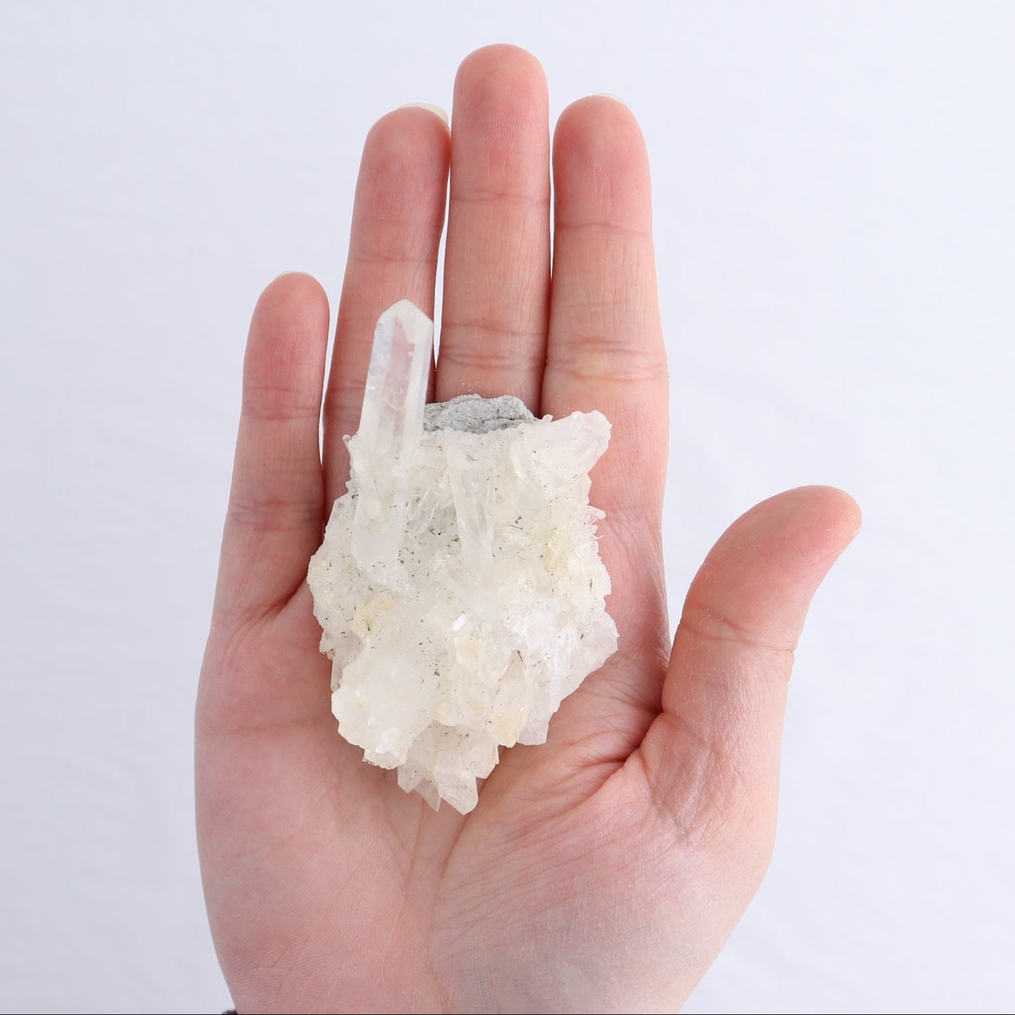 Lemurian Clusters from Columbia Set of 6
