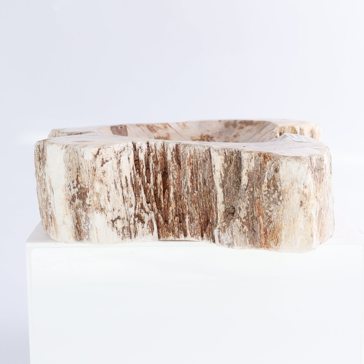 Petrified Wood Bowls Set of 2 | Mi Esperanza Minerals | Supplier of Crystals and Onyx