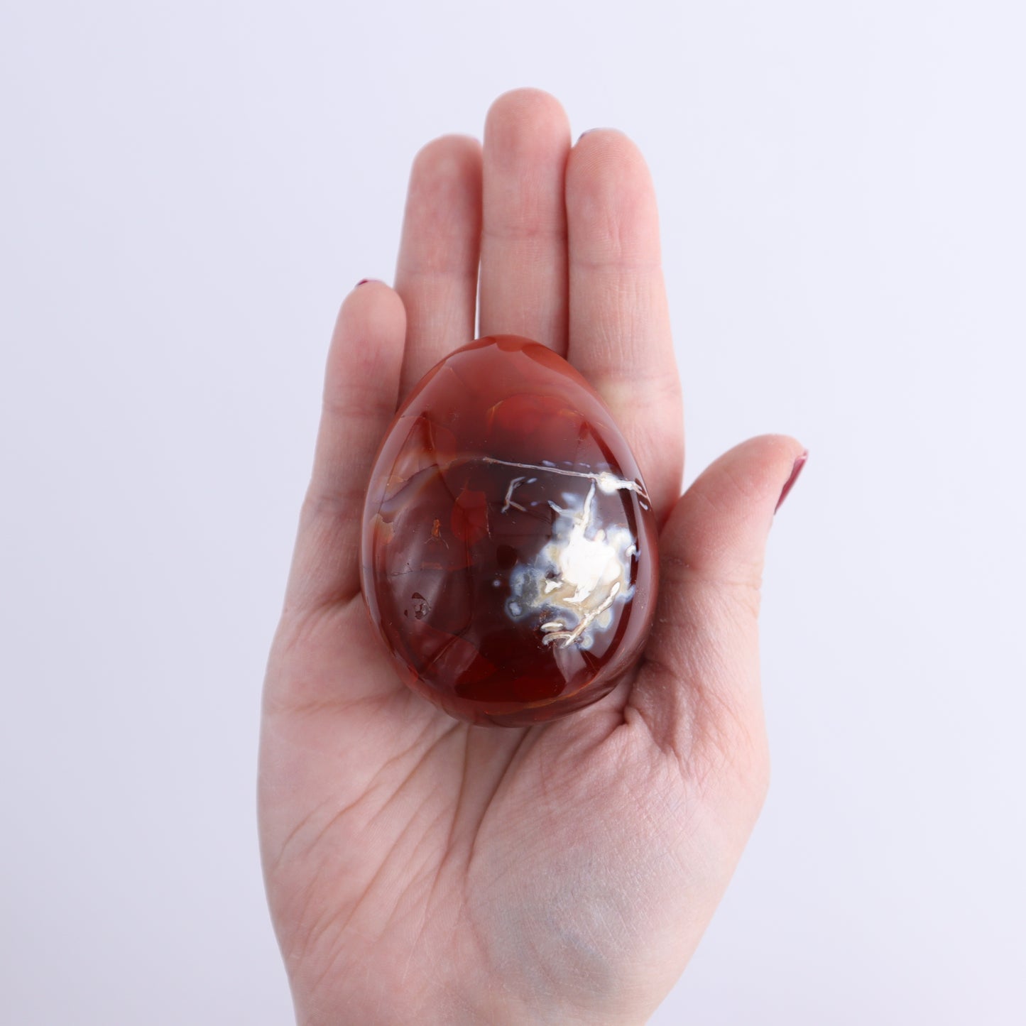 Carnelian Eggs Set of 12 | Mi Esperanza Minerals | Supplier of Crystals and Onyx