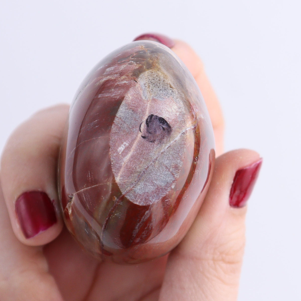 Petrified Wood Freeforms Set of 6 | Mi Esperanza Minerals | Supplier of Crystals and Onyx