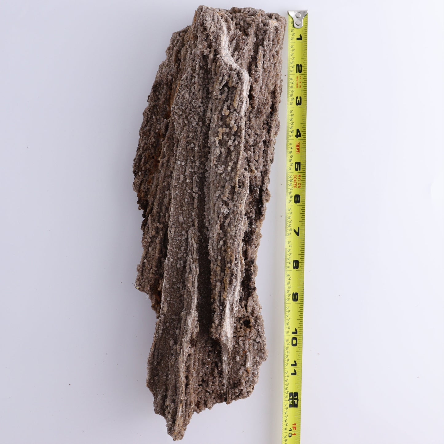 Petrified Wood Rough | Mi Esperanza Minerals | Supplier of Crystals and Onyx