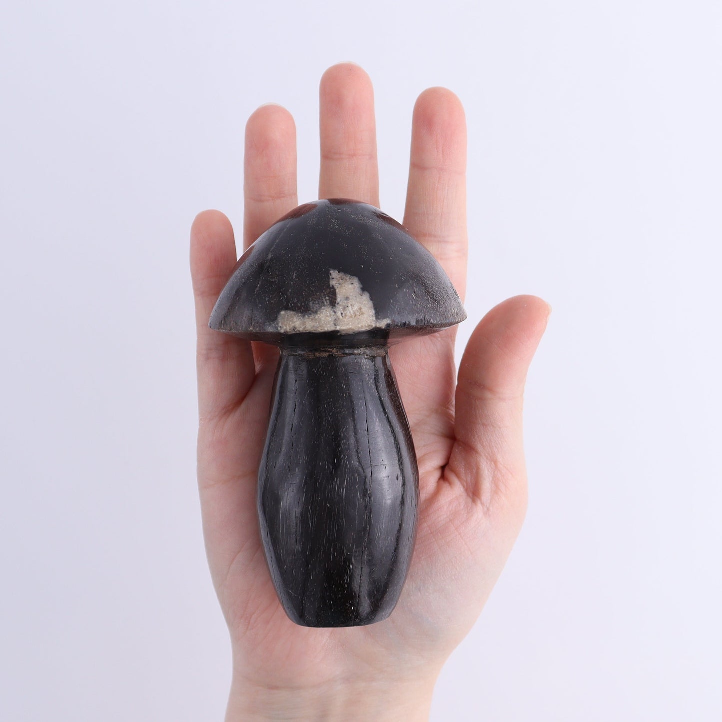 Petrified Wood Mushrooms Set of 4 | Mi Esperanza Minerals | Supplier of Crystals and Onyx