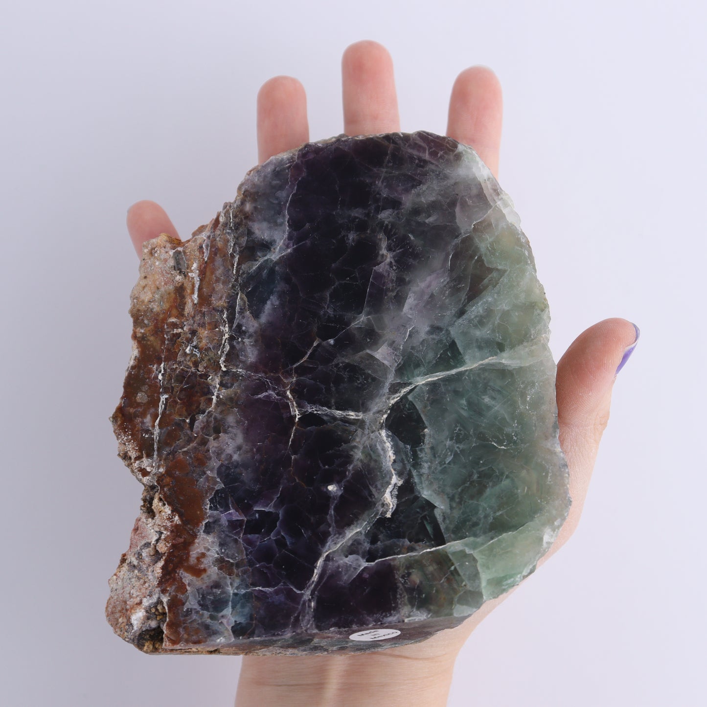 Fluorite Face Polished Set of 5 | Mi Esperanza Minerals | Supplier of Crystals and Onyx