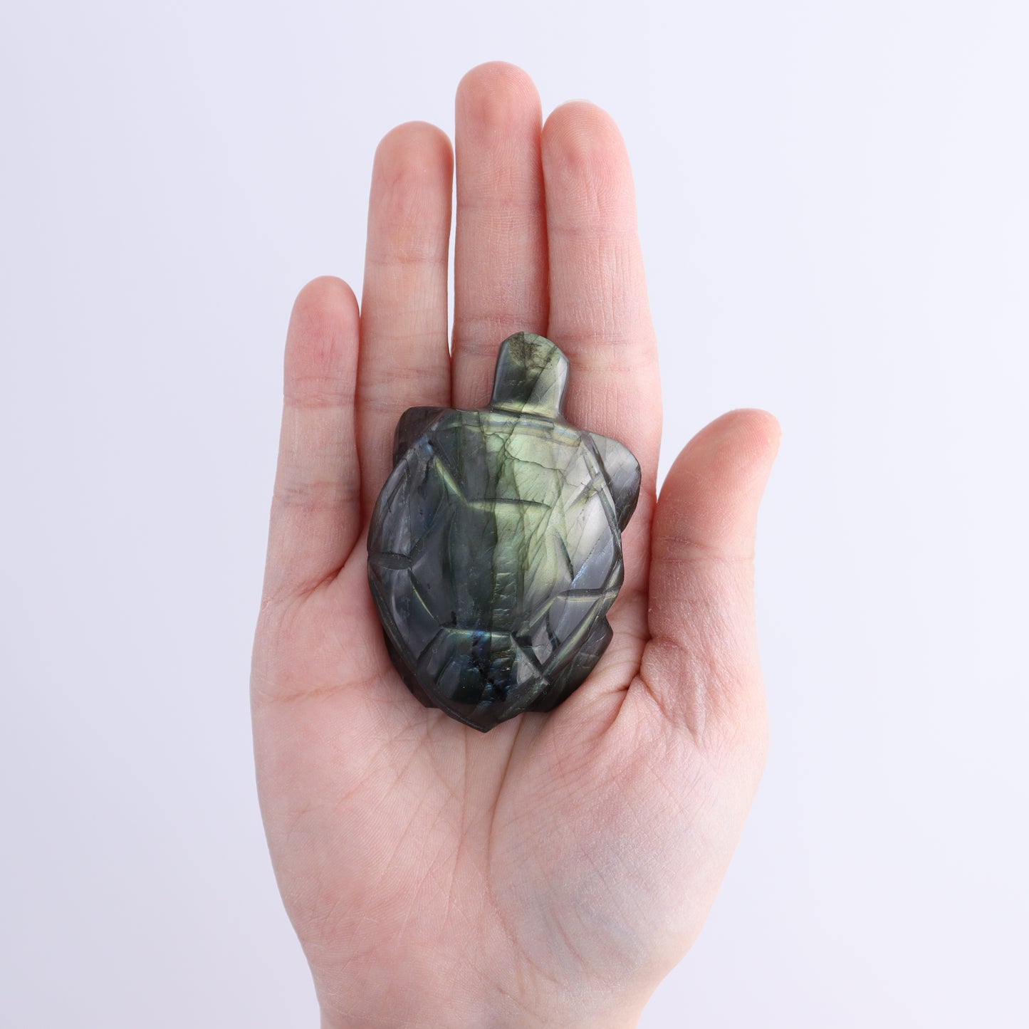 Labradorite Turtles Set of 5