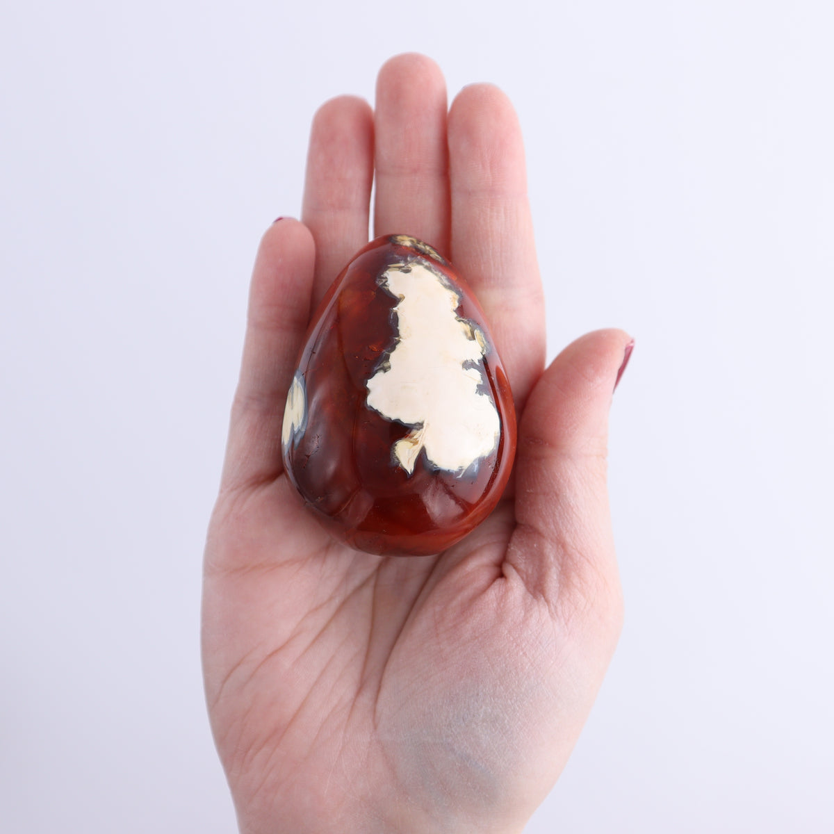 Carnelian Eggs Set of 12 | Mi Esperanza Minerals | Supplier of Crystals and Onyx