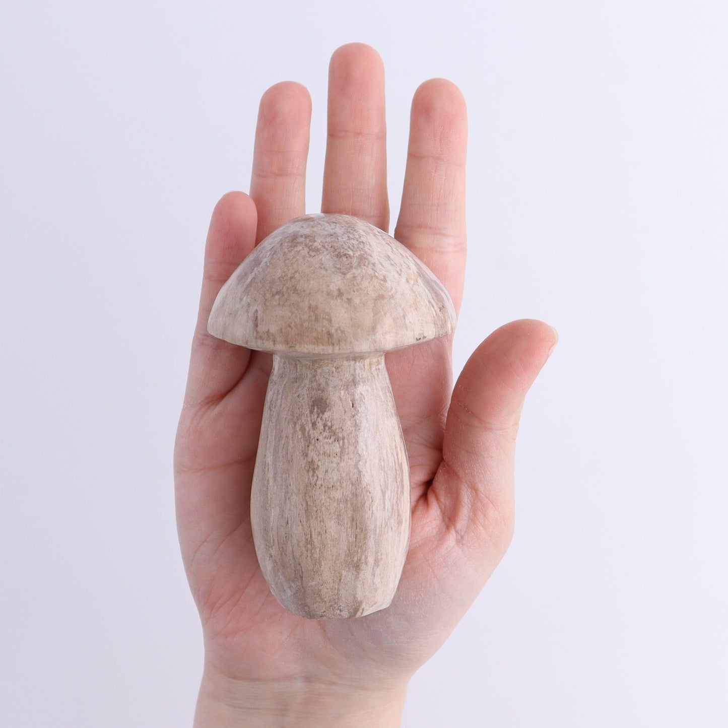 Petrified Wood Mushrooms Set of 4 | Mi Esperanza Minerals | Supplier of Crystals and Onyx