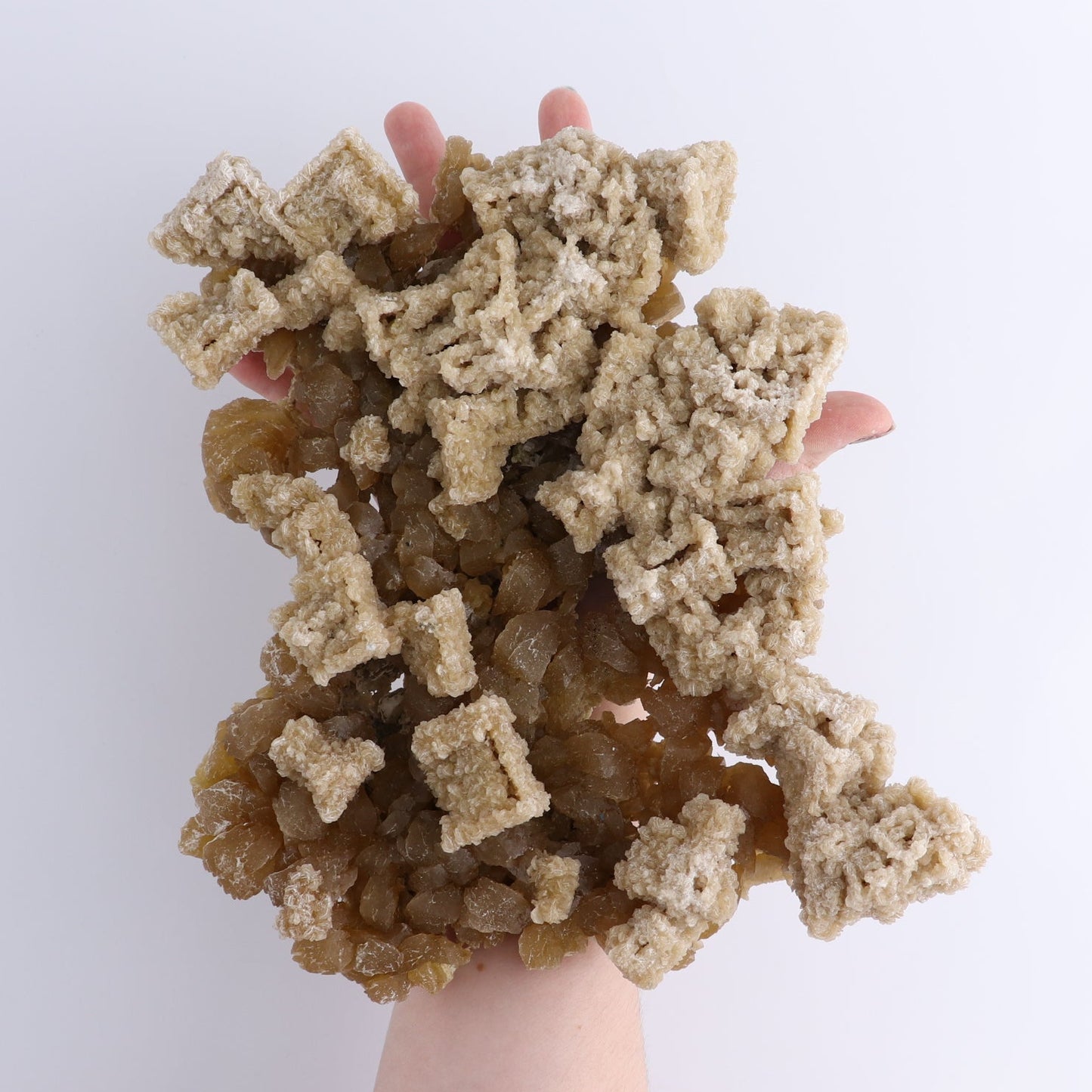 Halite on Trona from Owens Lake Set of 2 | Mi Esperanza Minerals | Supplier of Crystals and Onyx