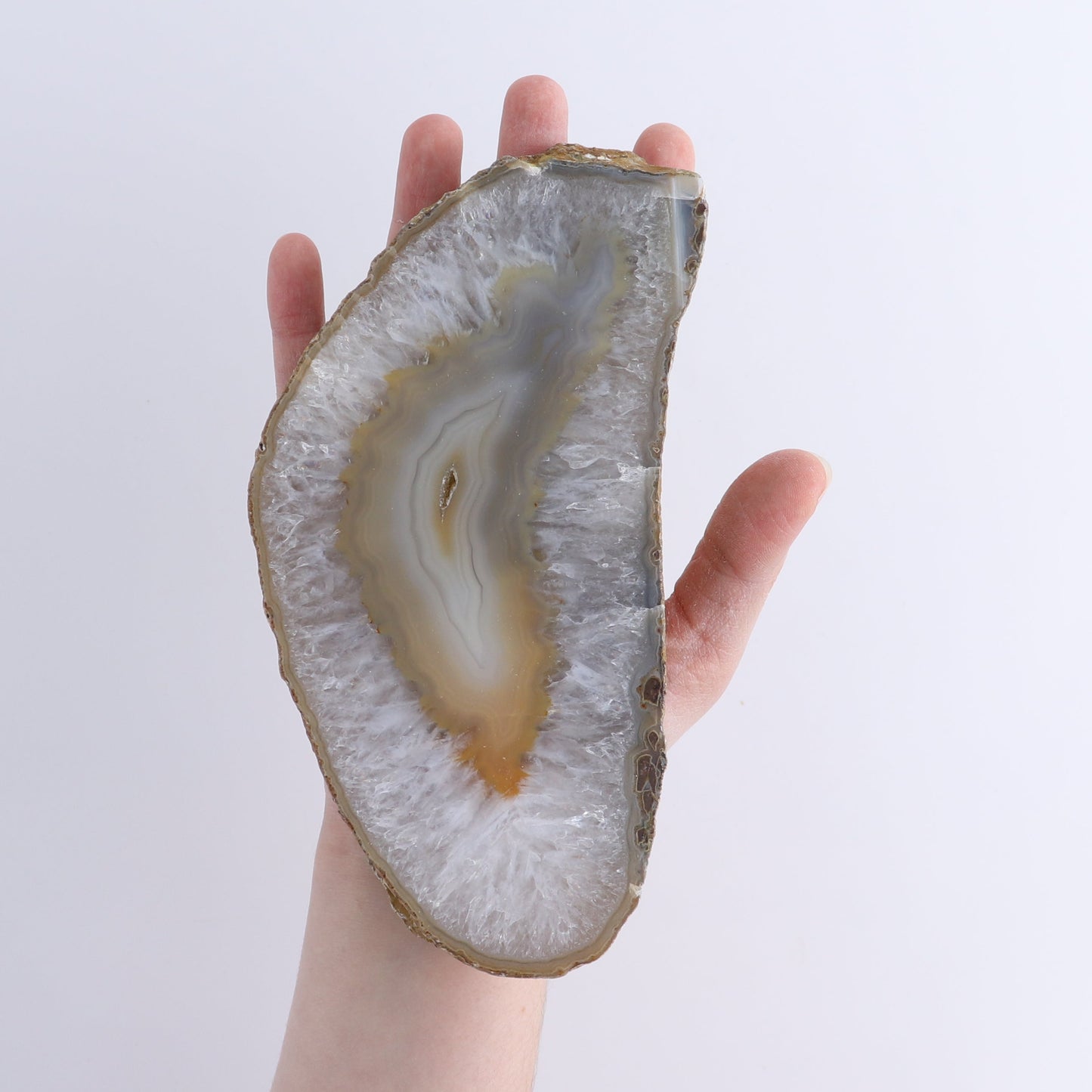 Agate Slices Set of 6 | Mi Esperanza Minerals | Supplier of Crystals and Onyx