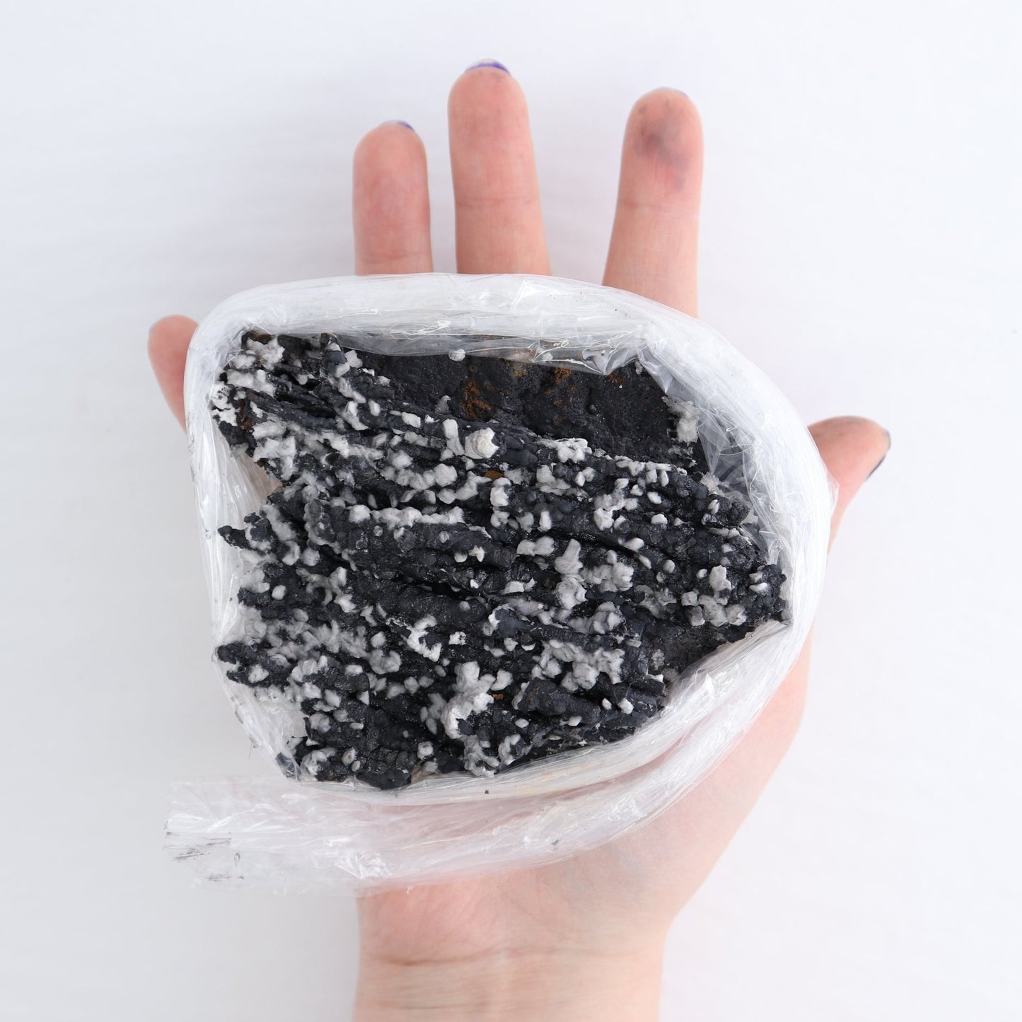 Goethite Flat from Morocco