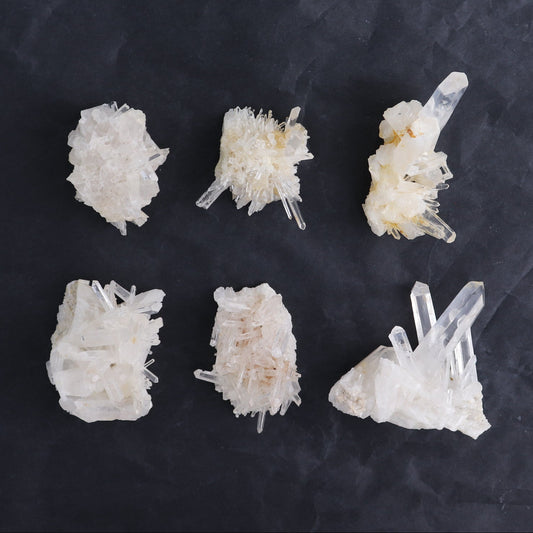 Lemurian Clusters from Columbia Set of 6