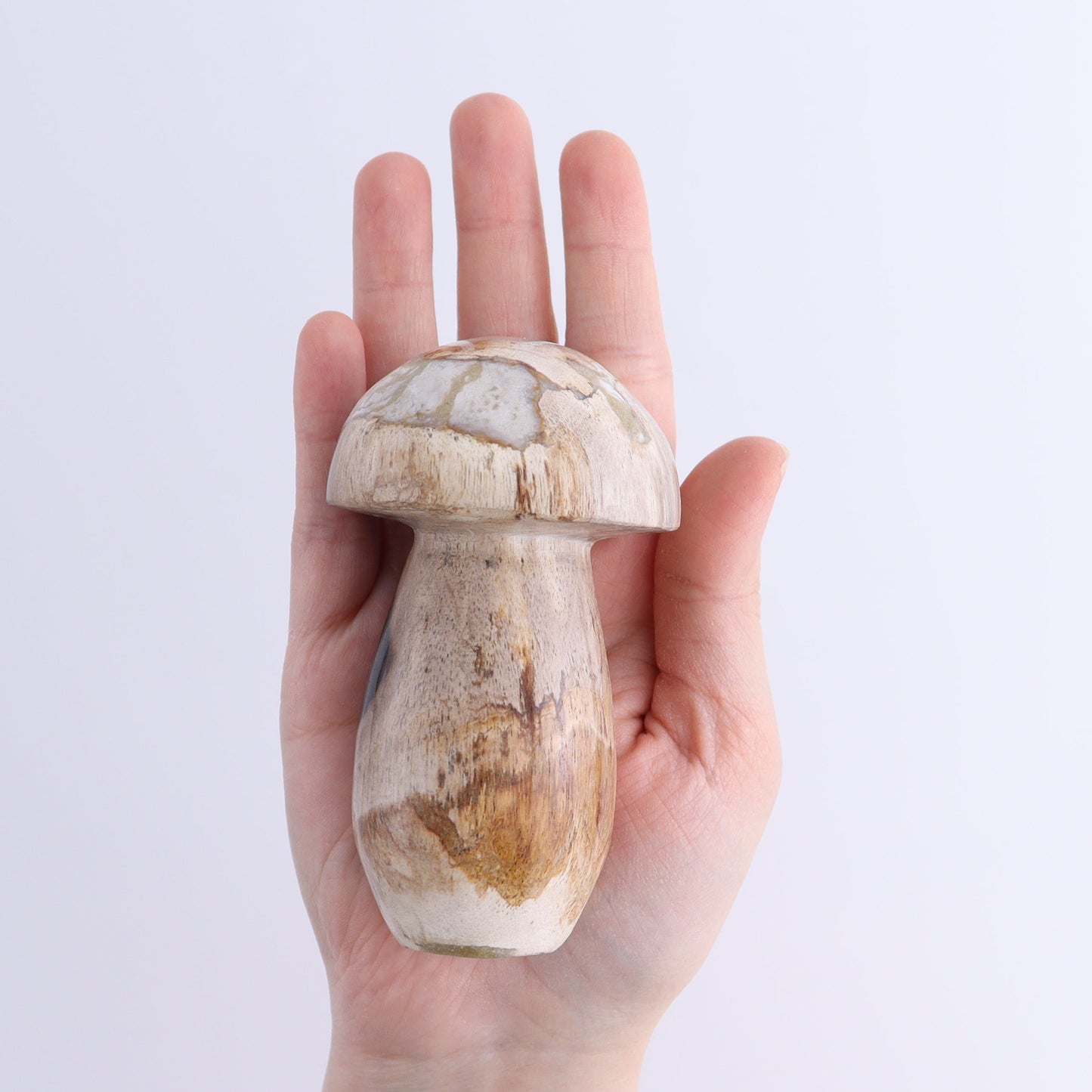 Petrified Wood Mushrooms Set of 4 | Mi Esperanza Minerals | Supplier of Crystals and Onyx