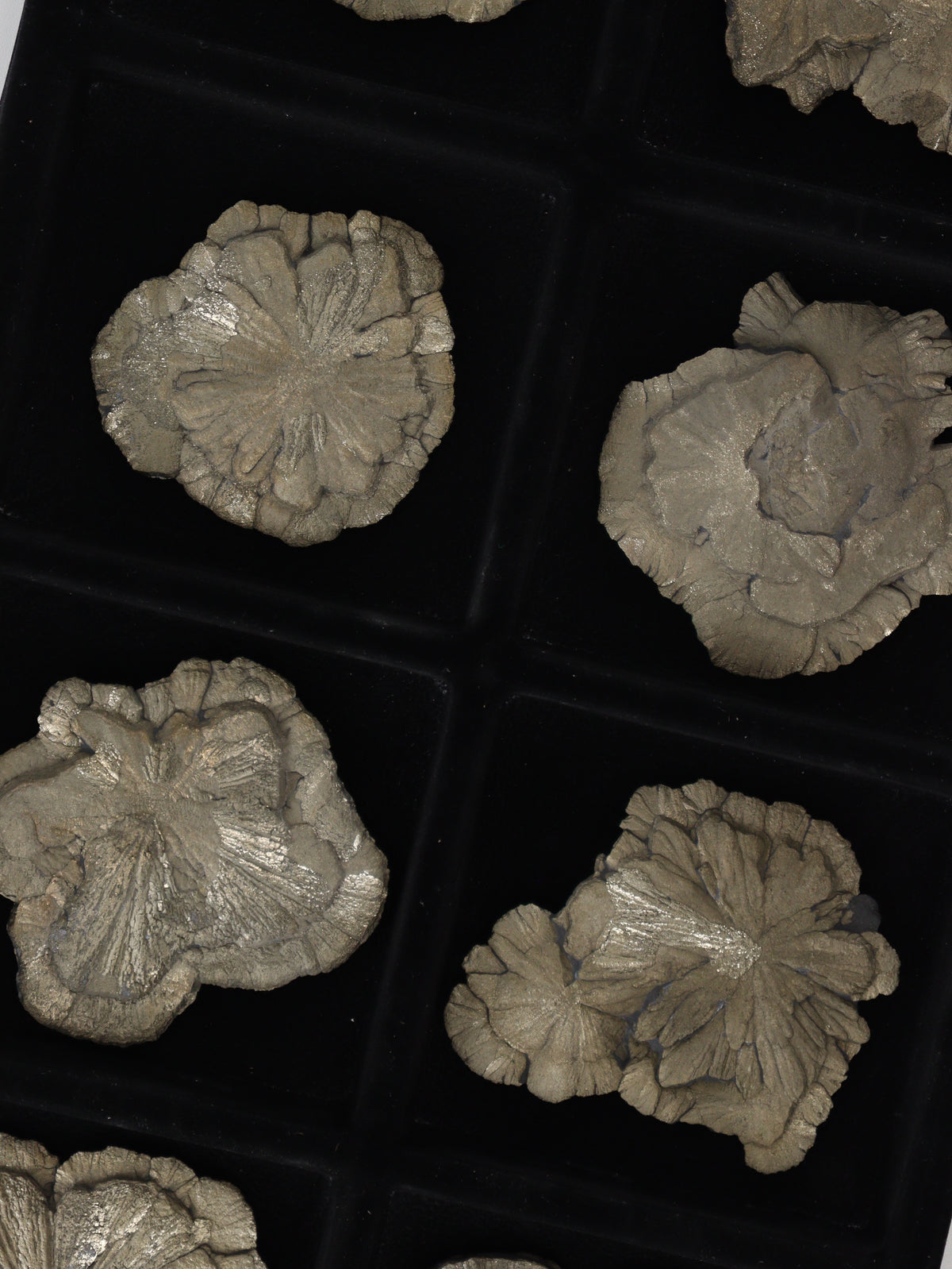 Pyrite Slices and Slabs Set of 8 - wholesale crystals