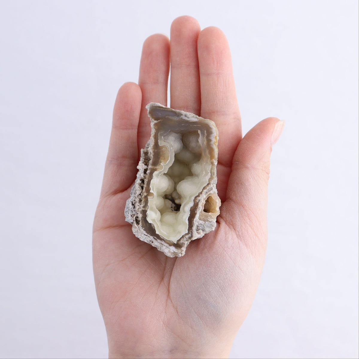 Agatized Coral Flat | Mi Esperanza Minerals | Supplier of Crystals and Onyx