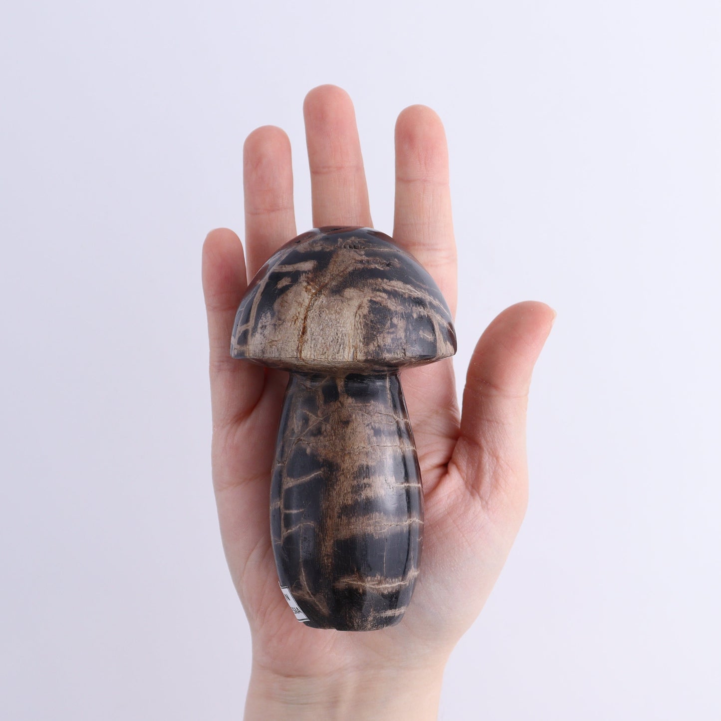 Petrified Wood Mushrooms Set of 4 | Mi Esperanza Minerals | Supplier of Crystals and Onyx