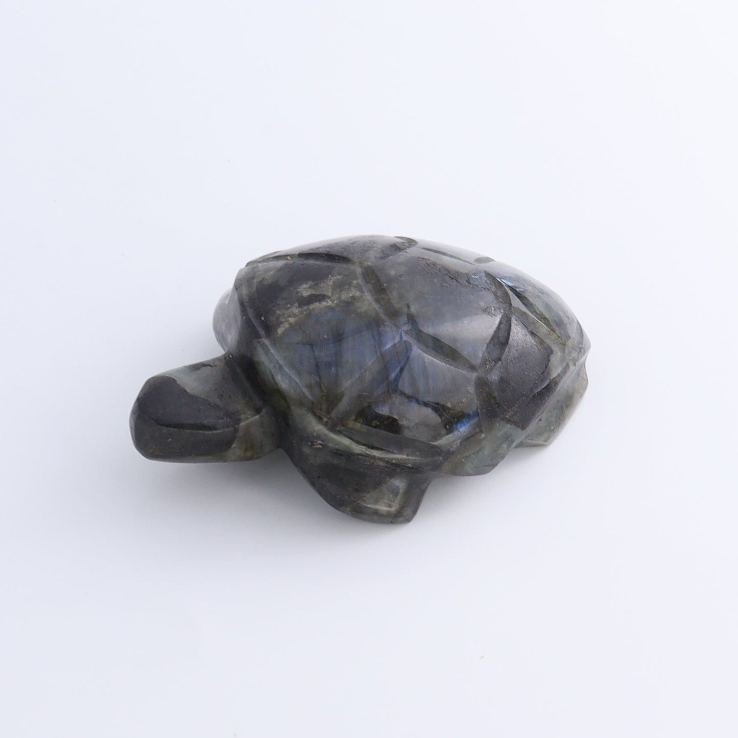 Labradorite Turtles Set of 5