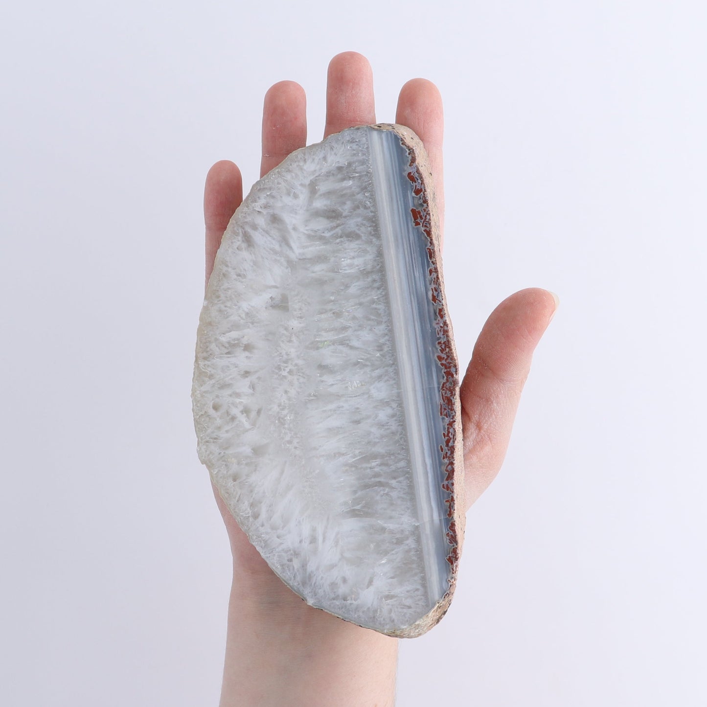 Agate Slices Set of 7 | Mi Esperanza Minerals | Supplier of Crystals and Onyx